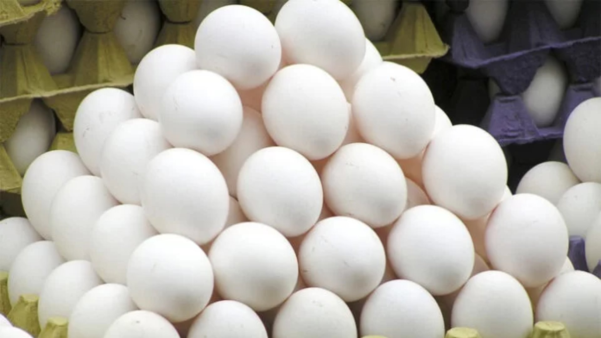 huevos