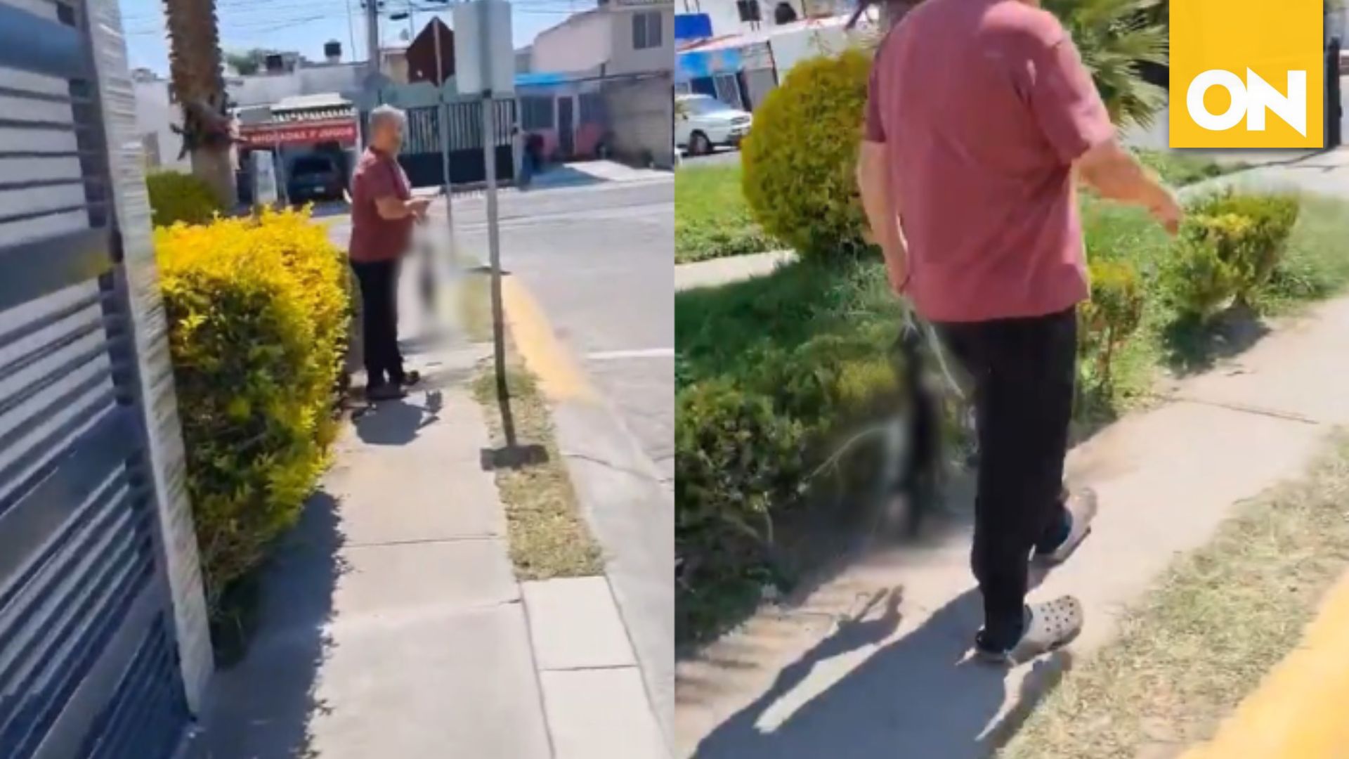 Hombre asfixia perro