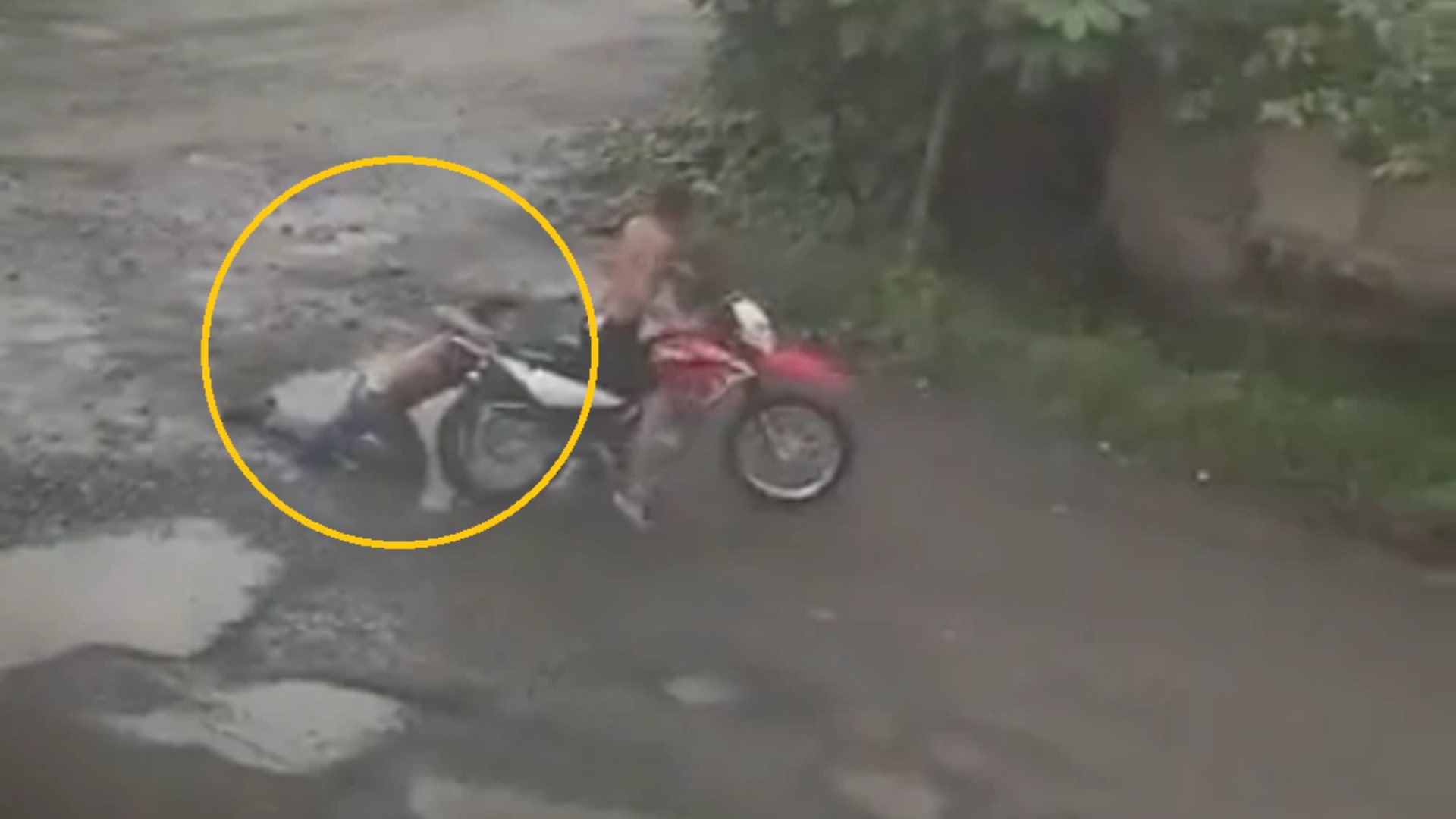 ladrón olvida a su amigo Ecuador