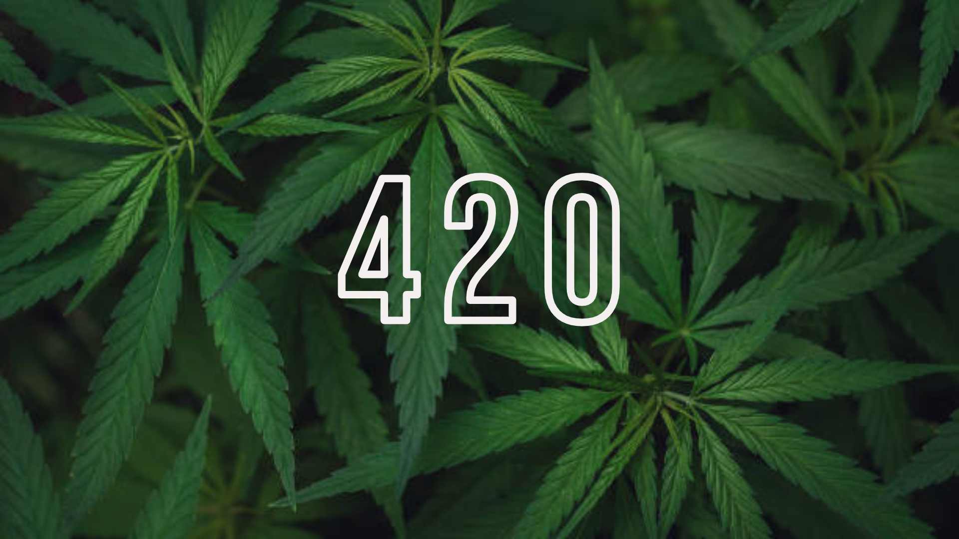 4/20