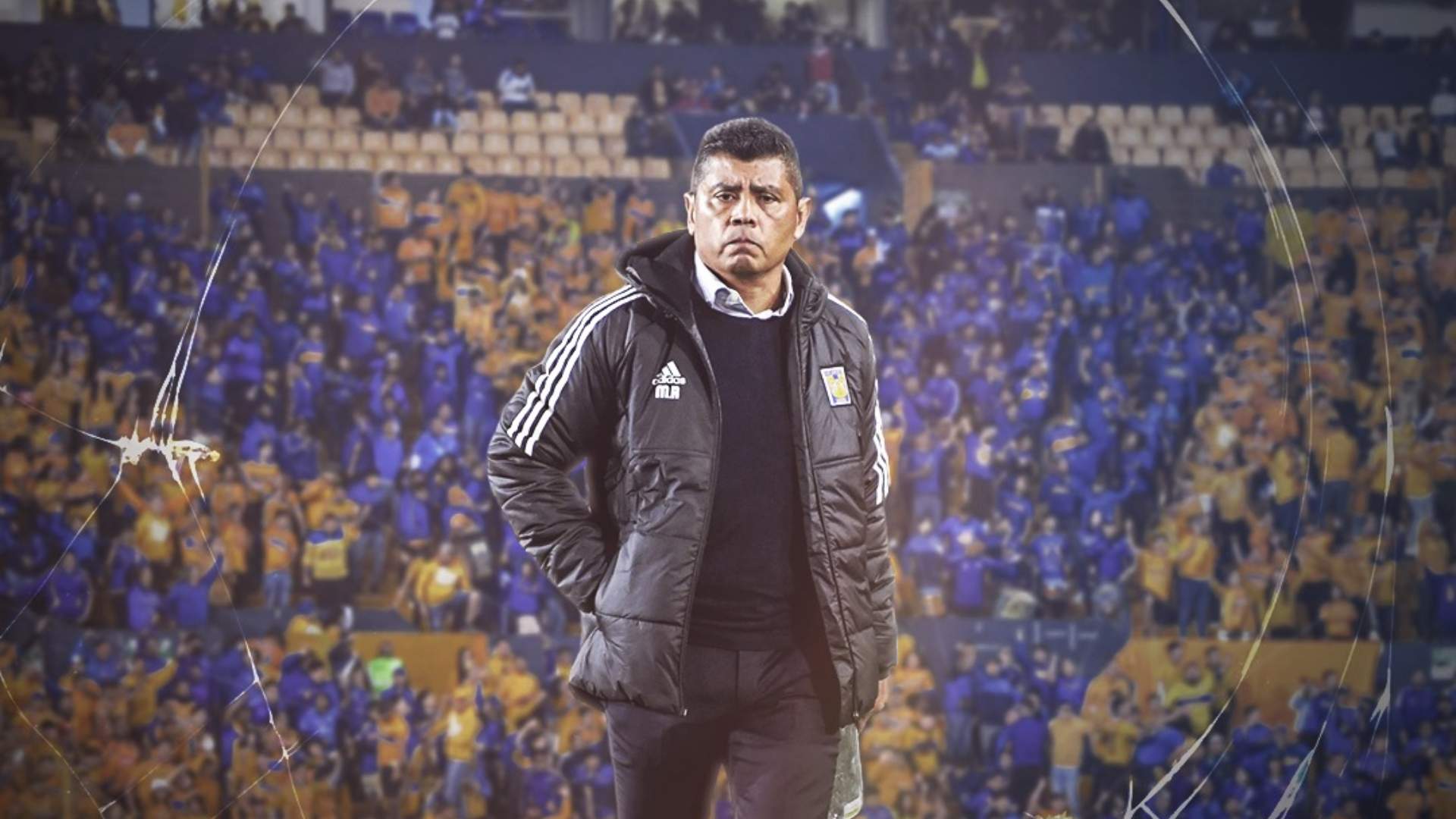 tigres