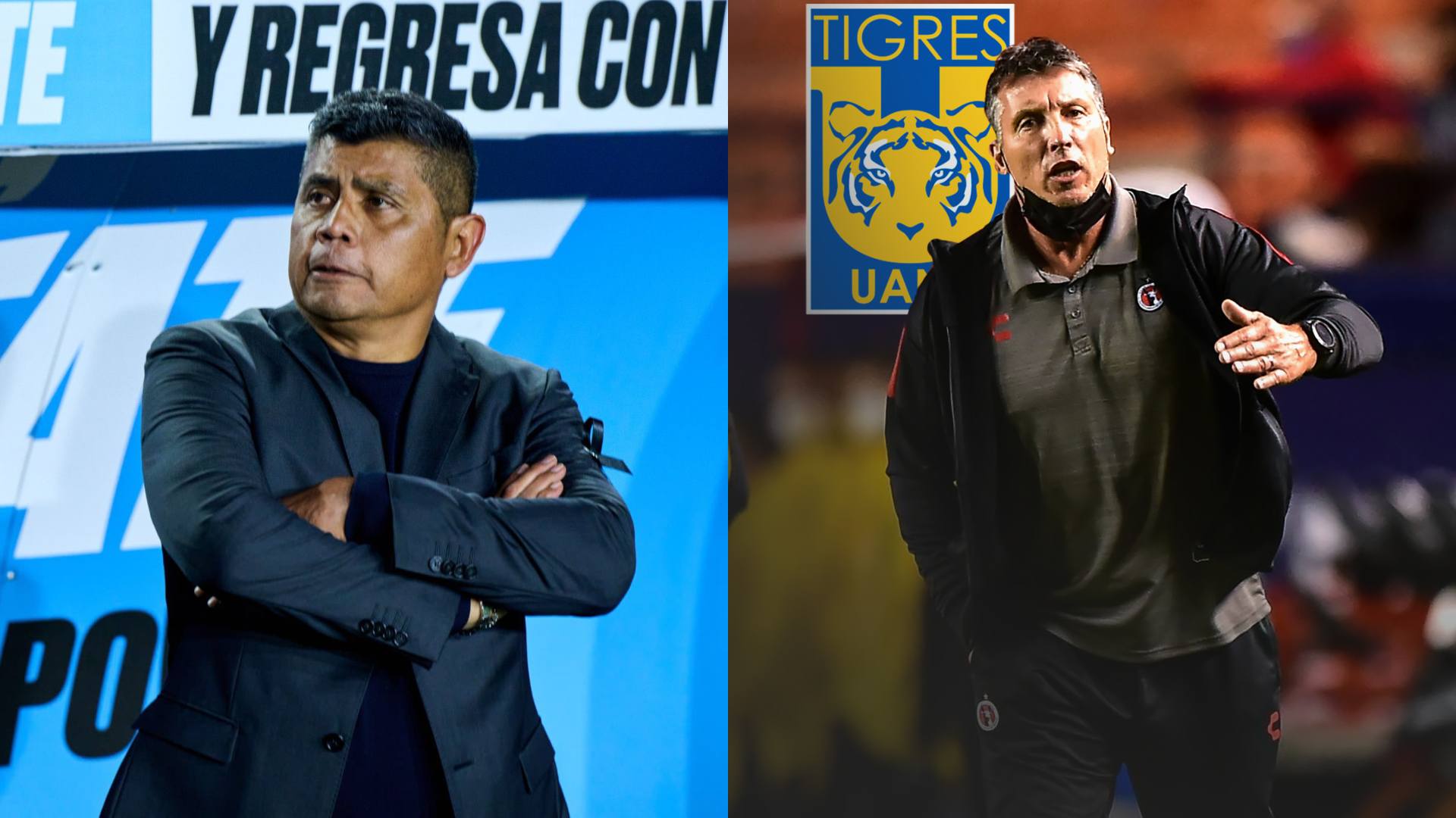 tigres