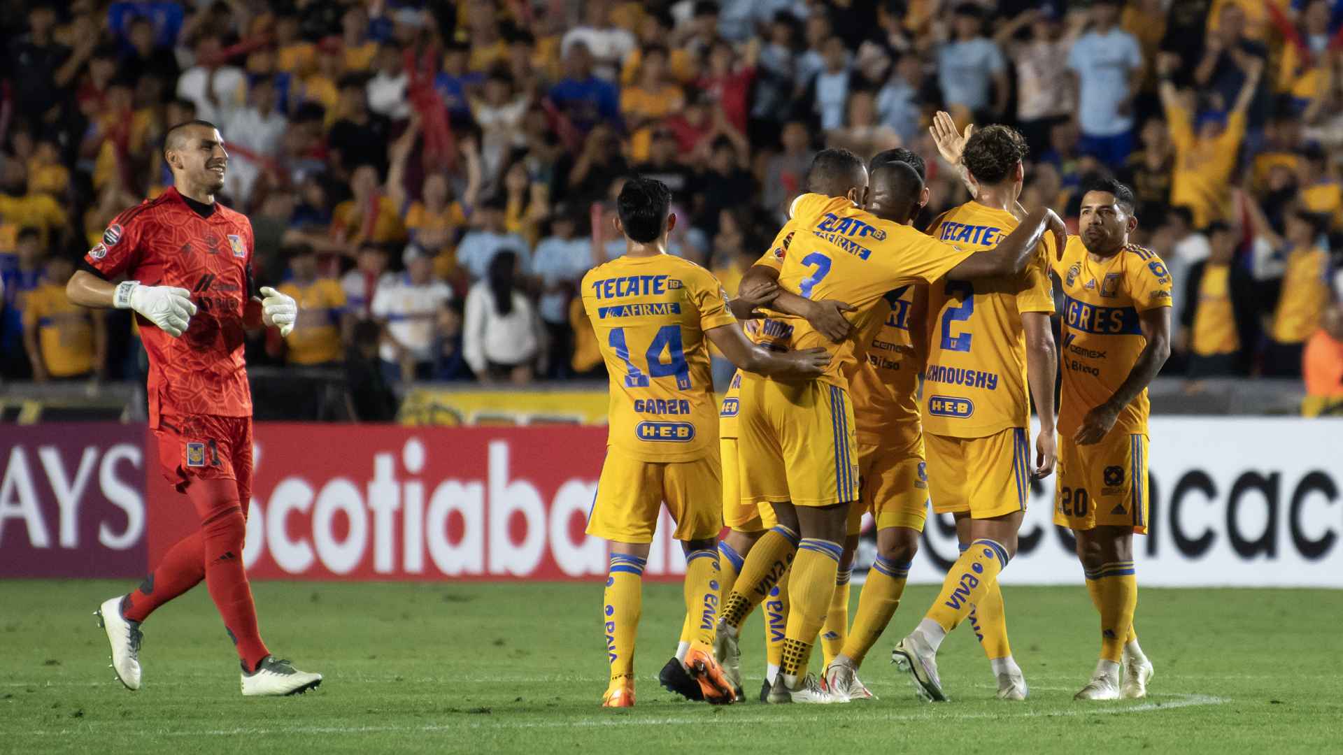 tigres motagua
