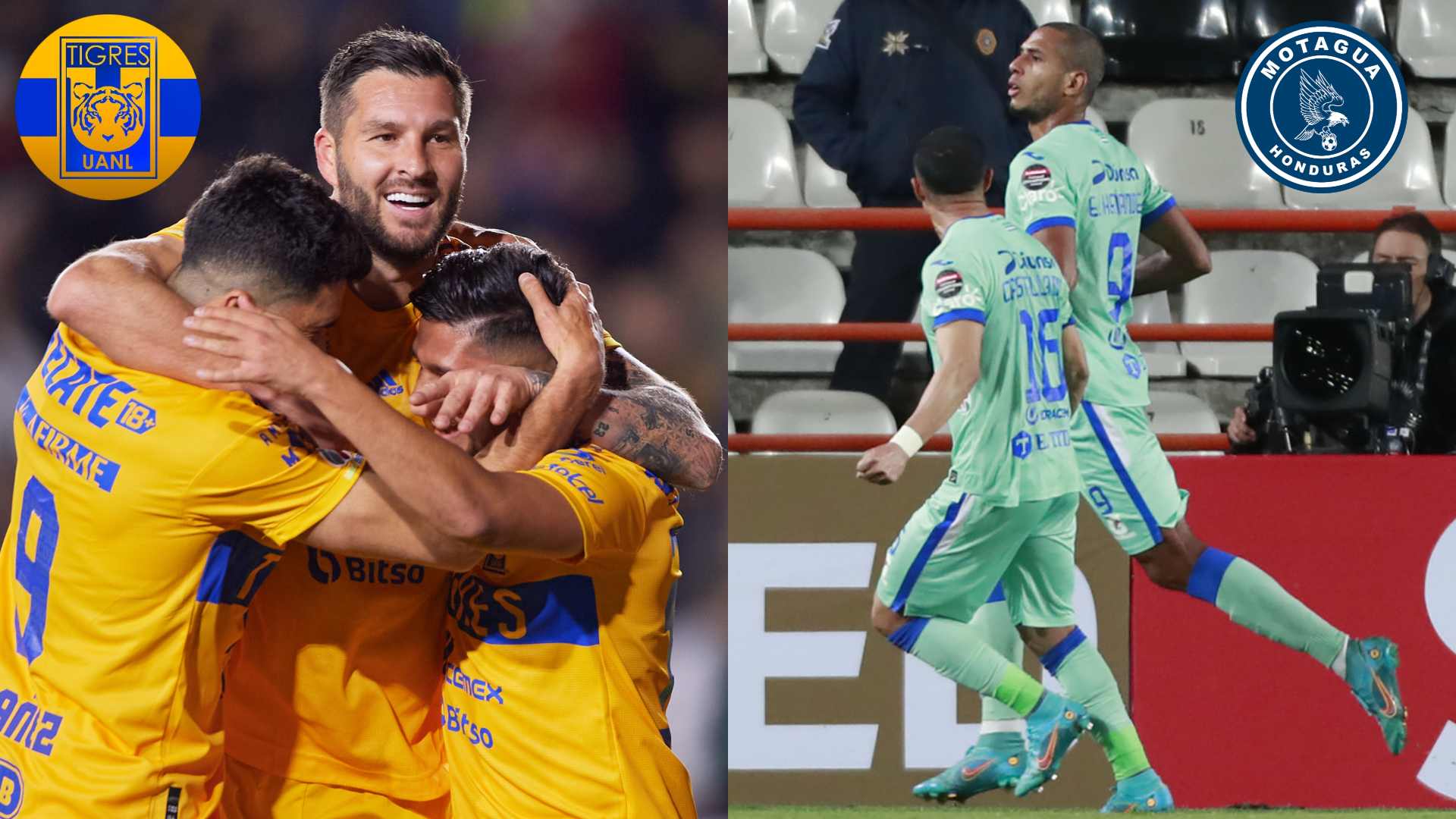 tigres y motagua