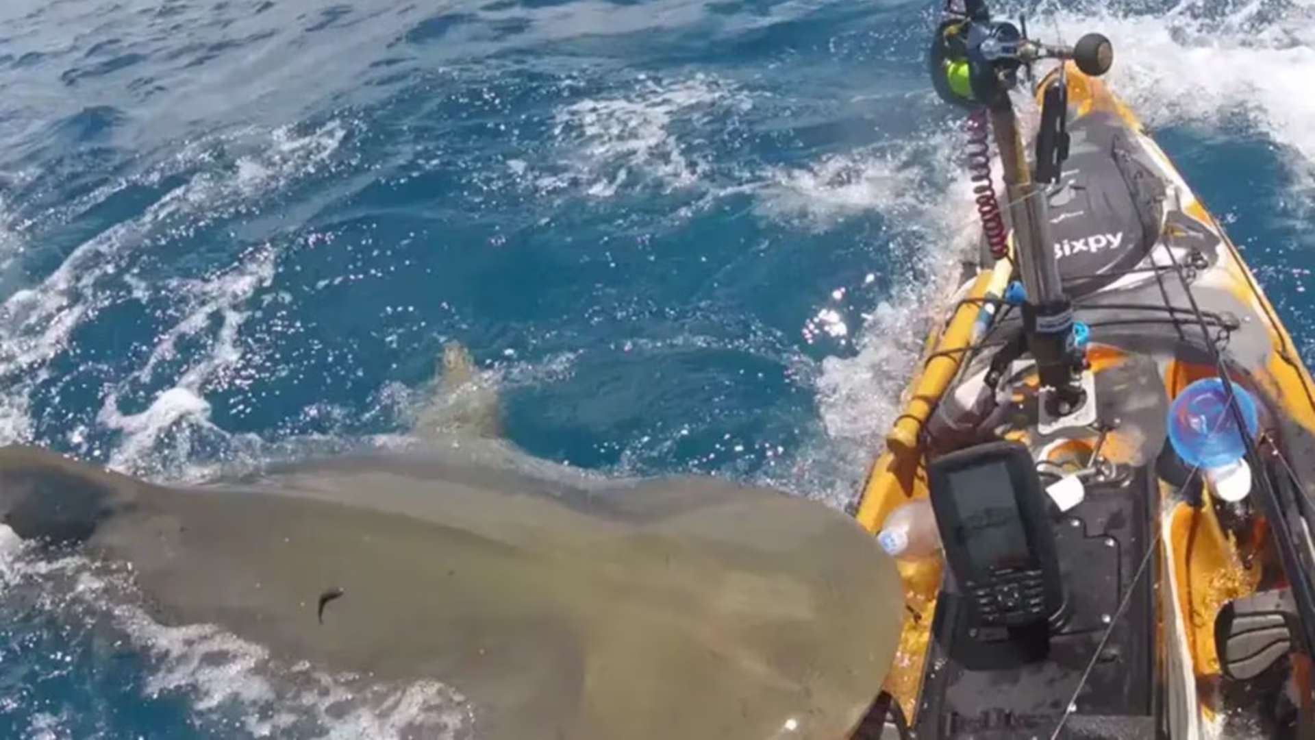 Pescador