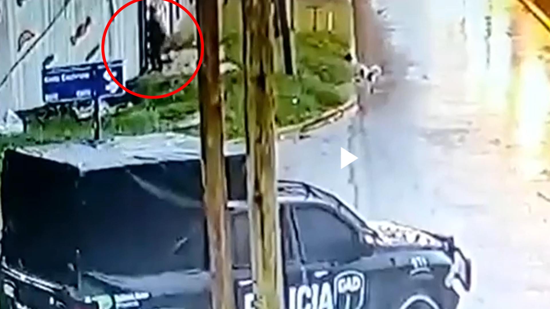 patrulla policial