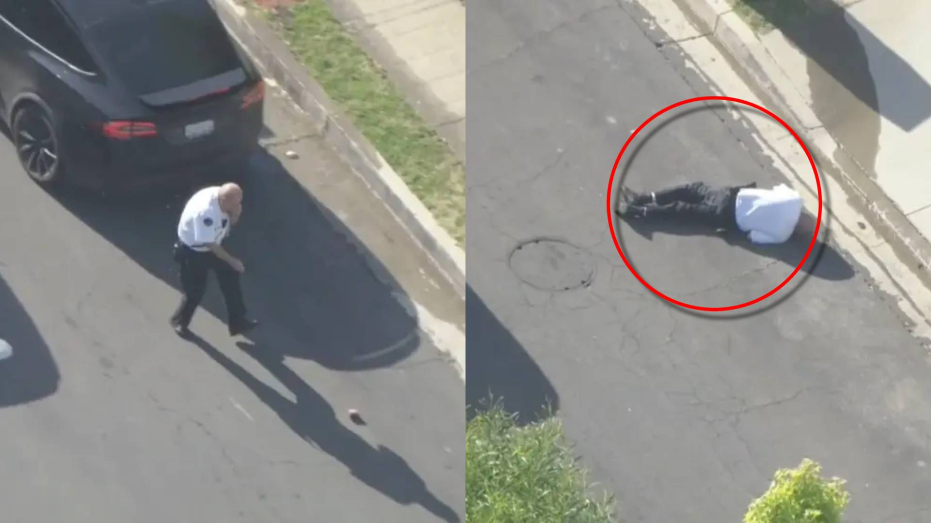 policía atacado por abejas