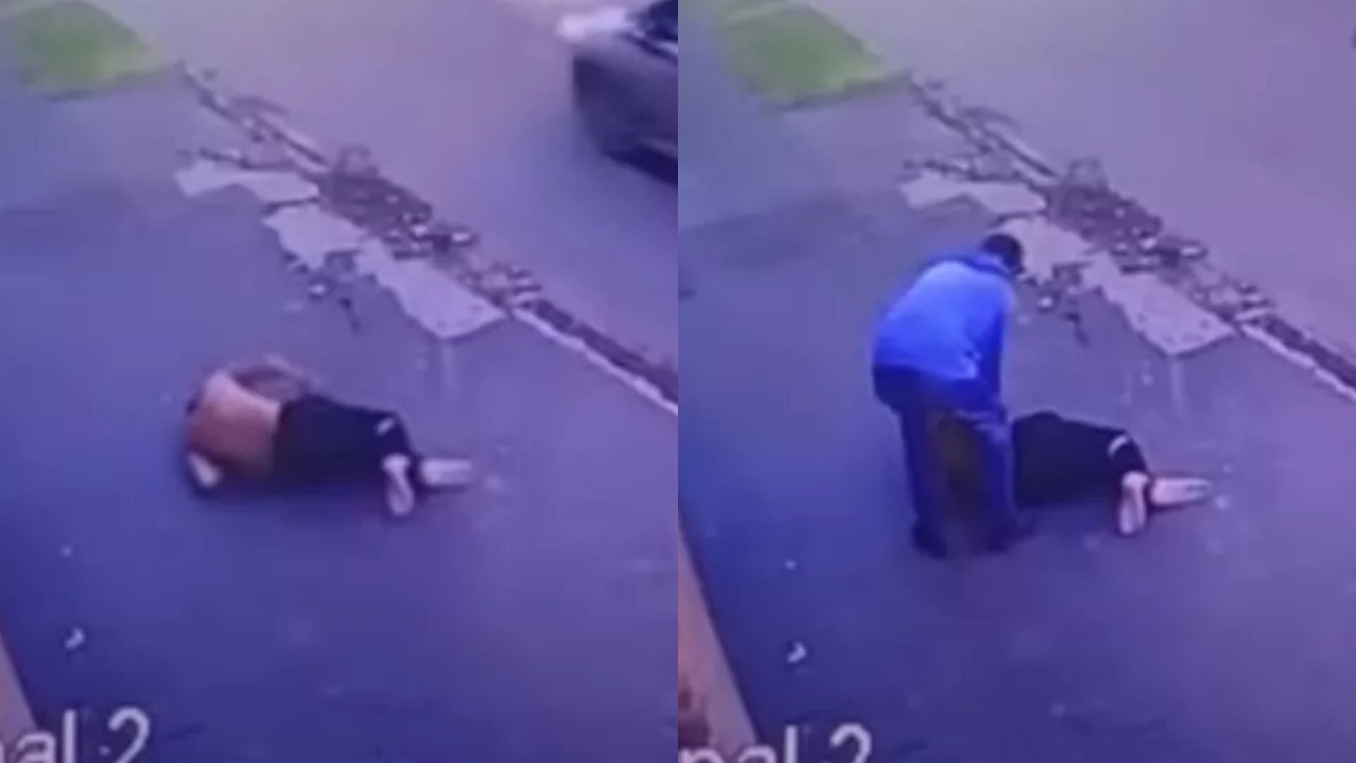 video ladrón