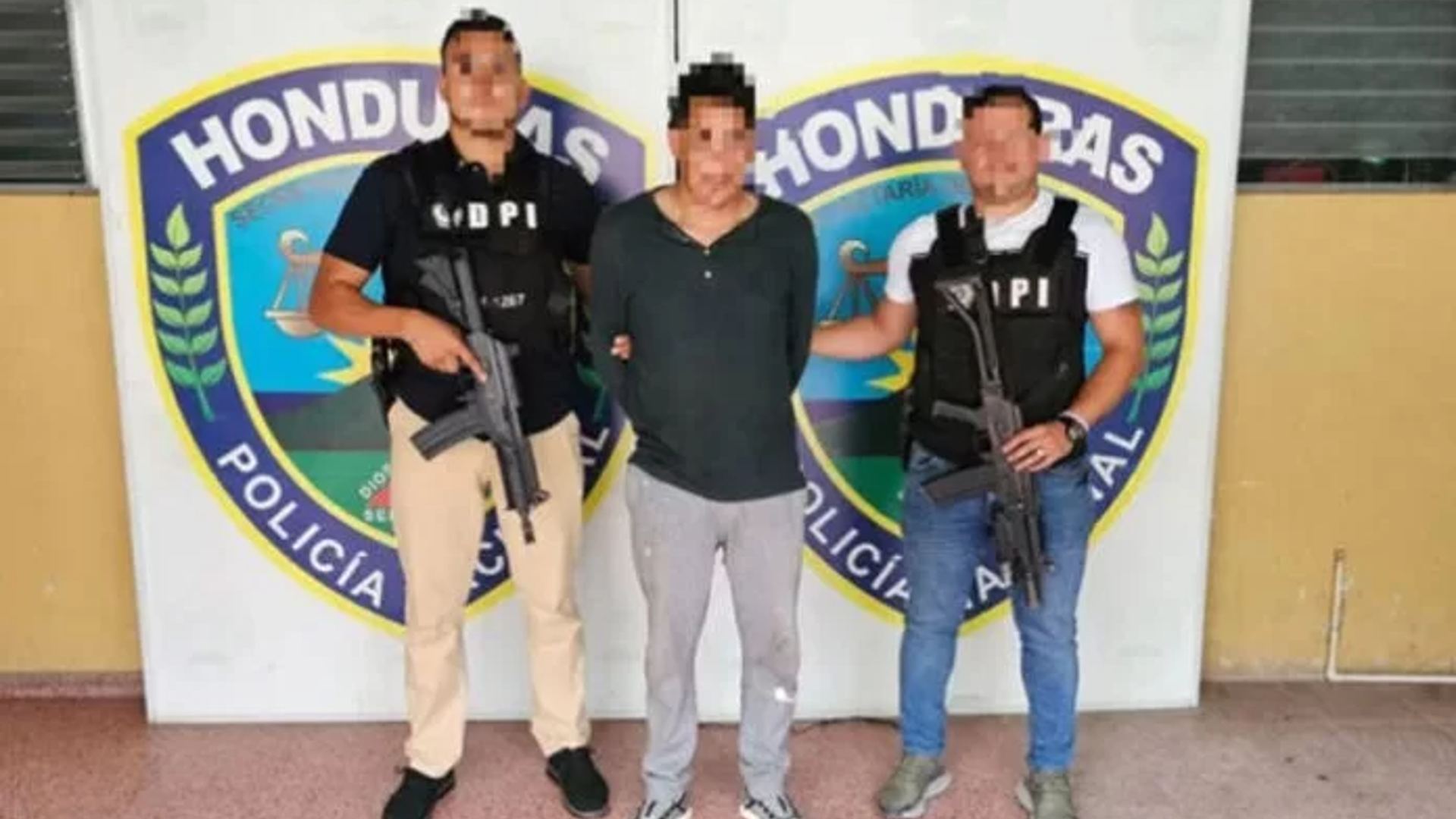 Cedros