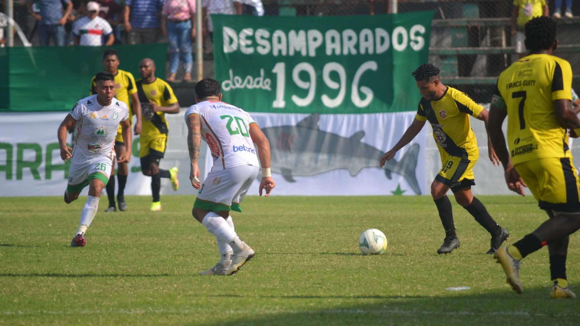 Génesis campeón 