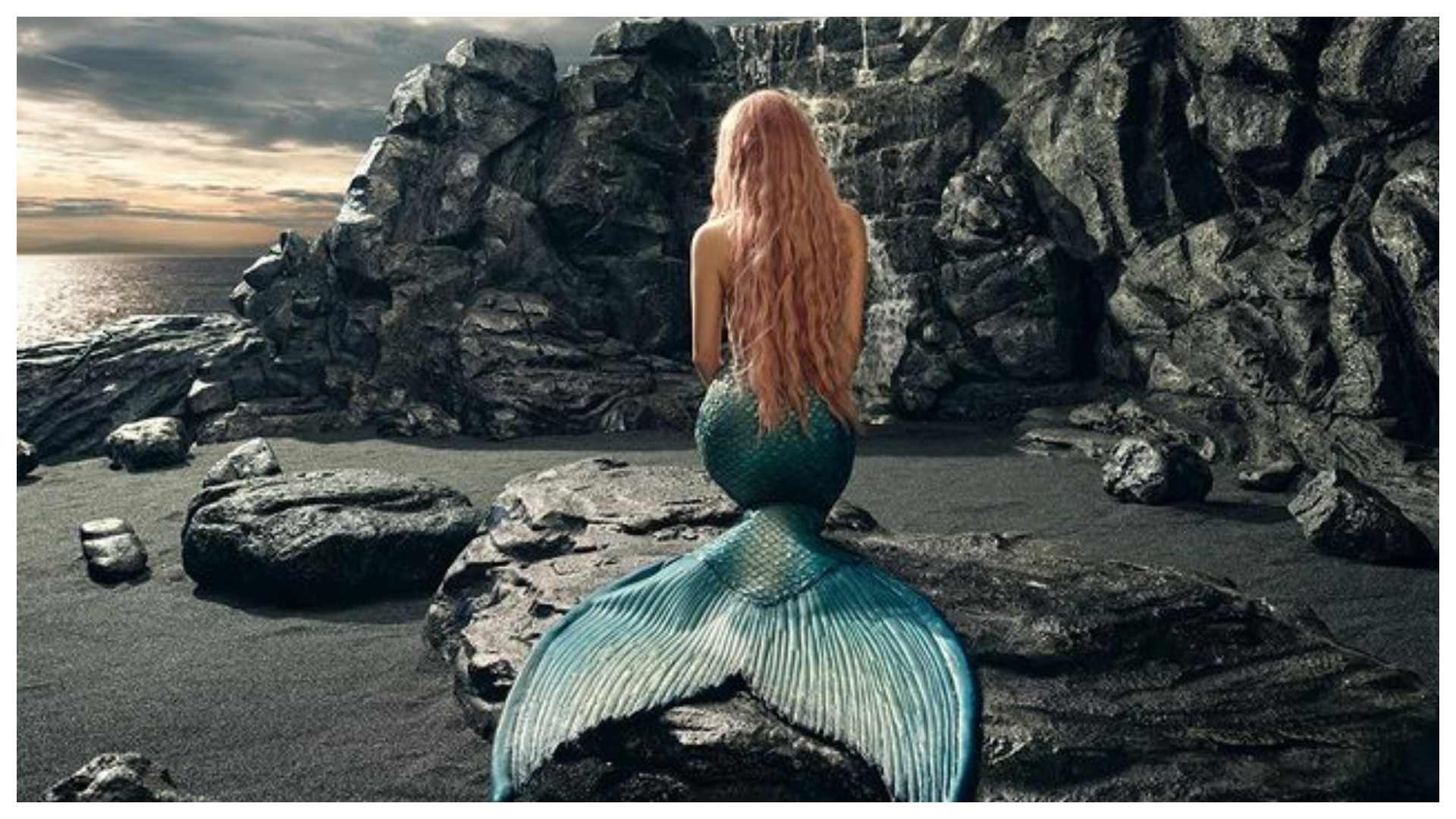 SIRENA