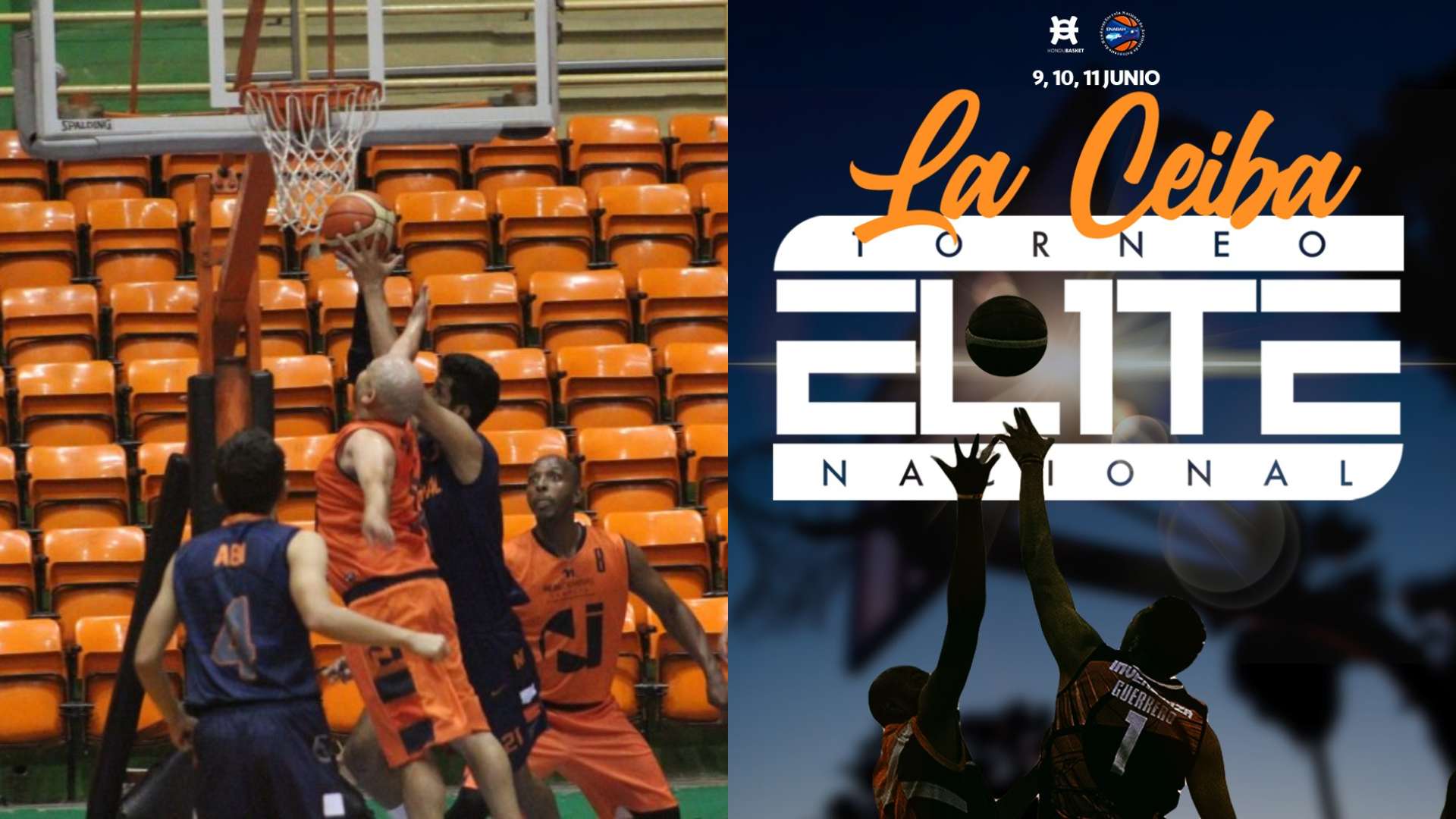 Torneo de Élite Nacional
