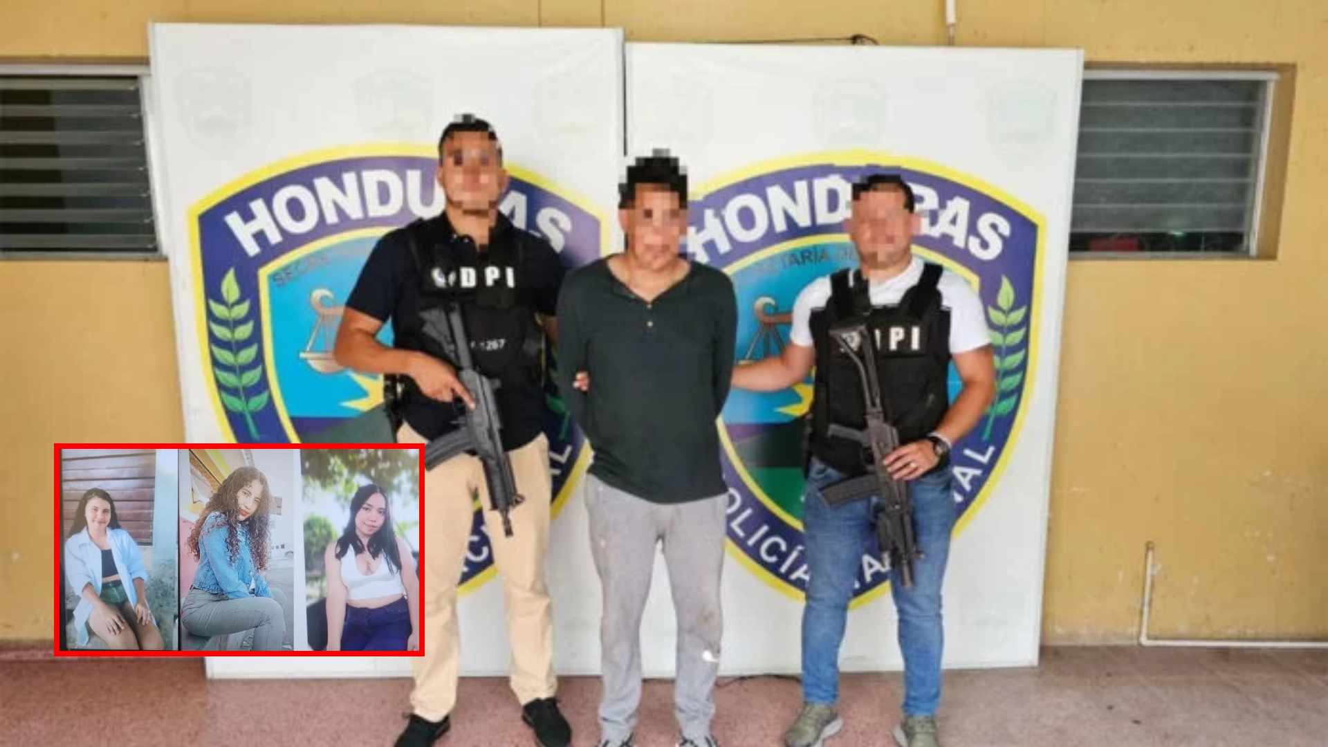 Cedros