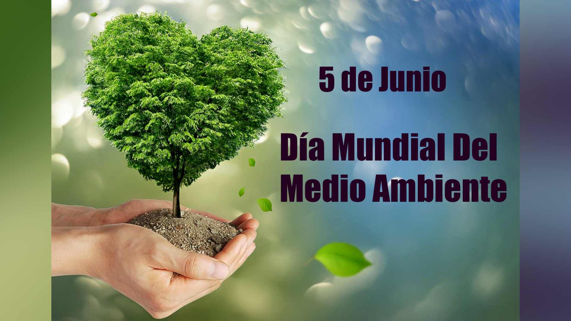 Medioambiente
