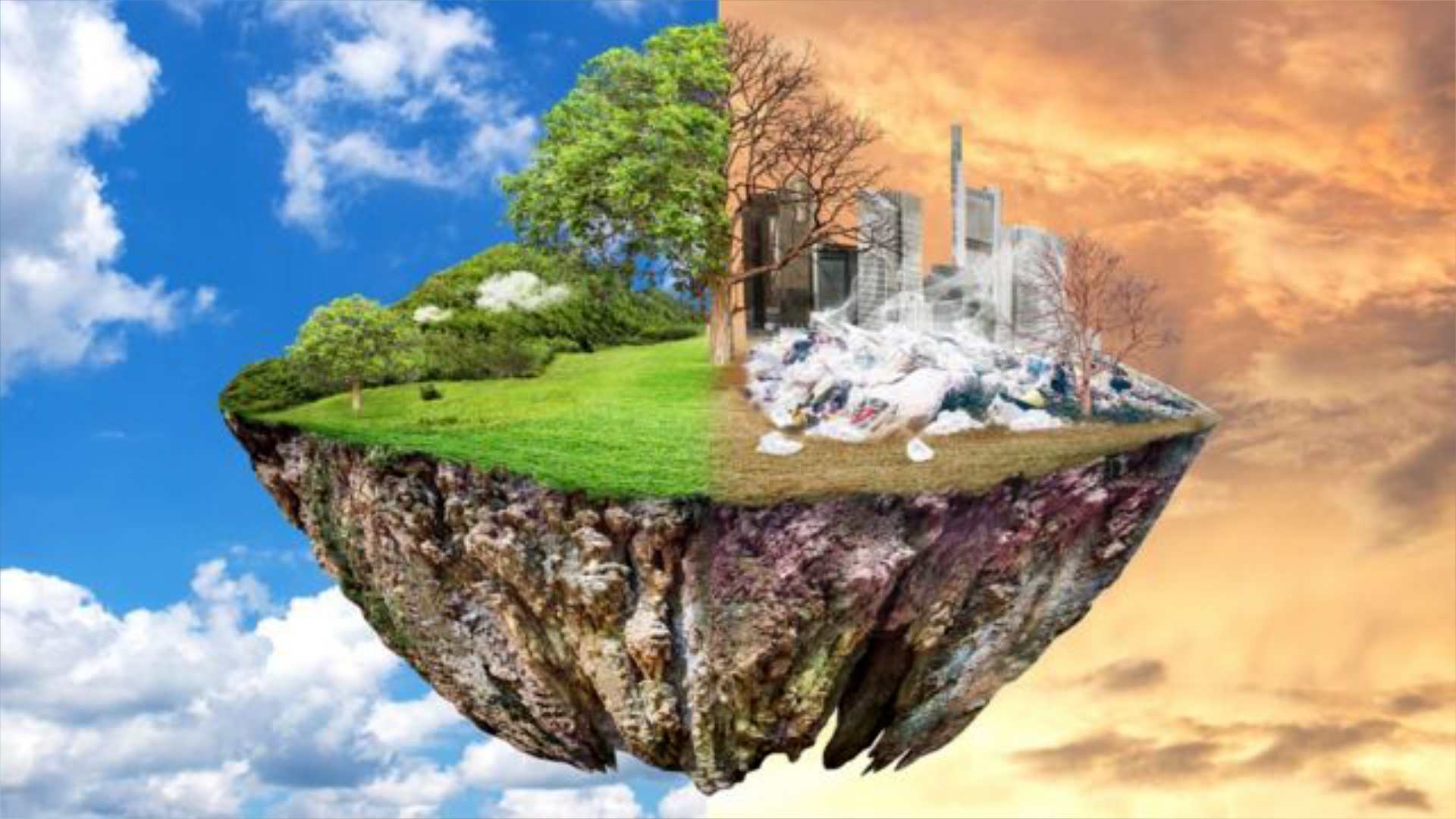 medioambiente 