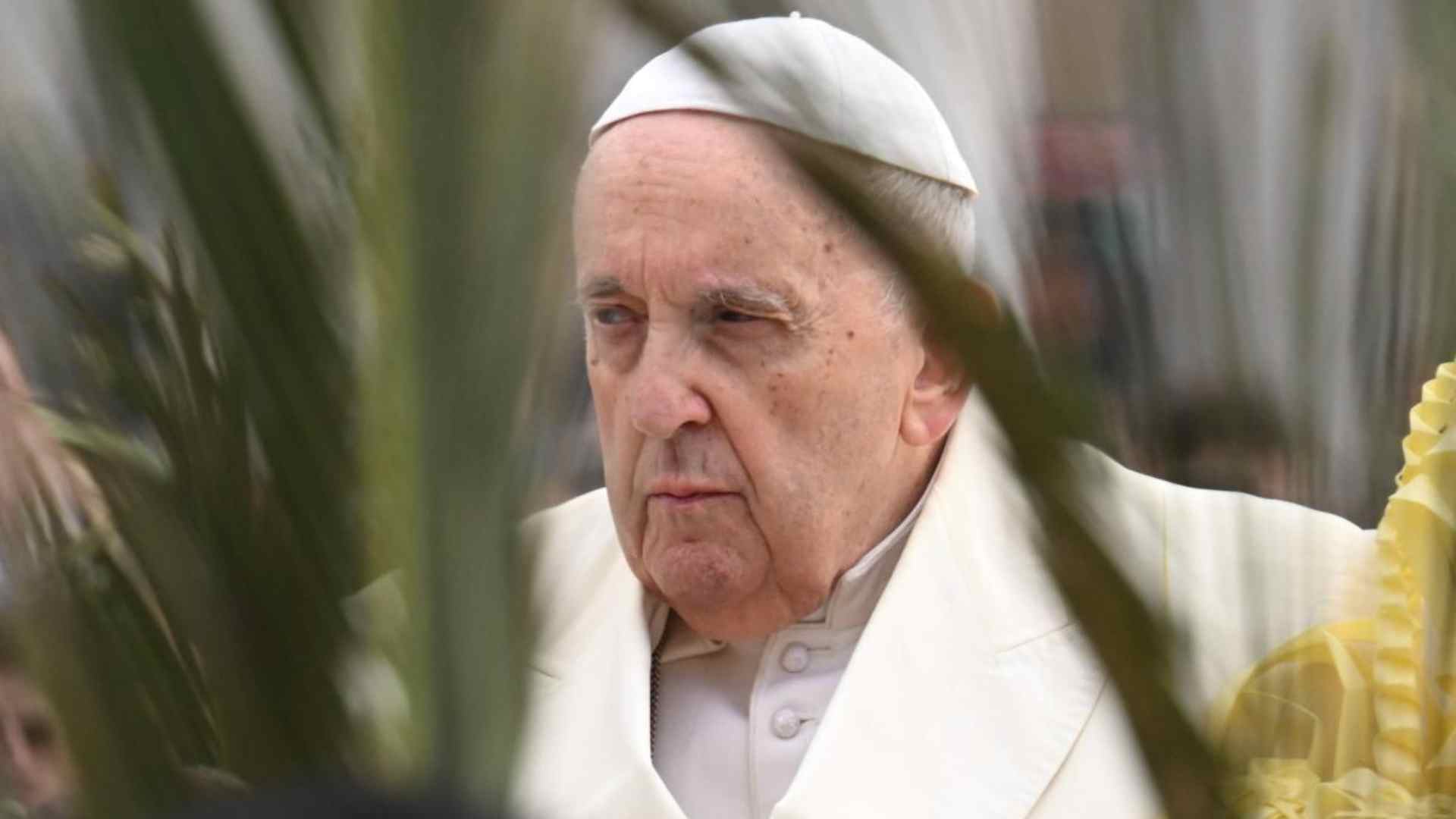 papa Francisco