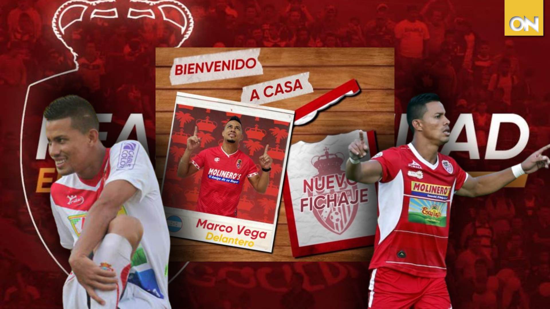 marco tulio vega