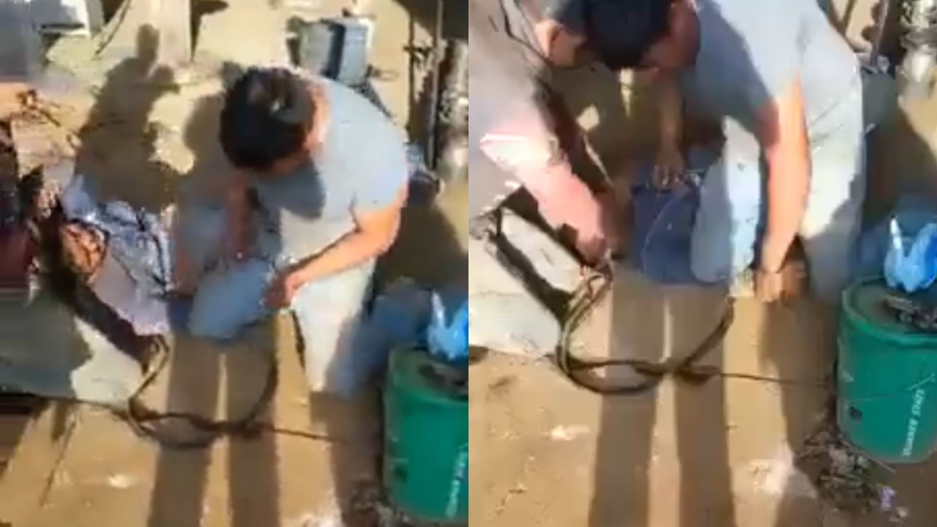 video niño abusado en el trabajo