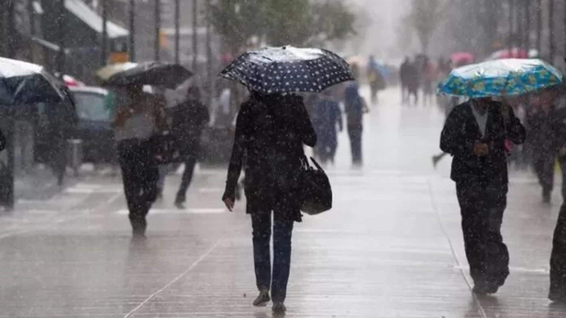 Lluvias