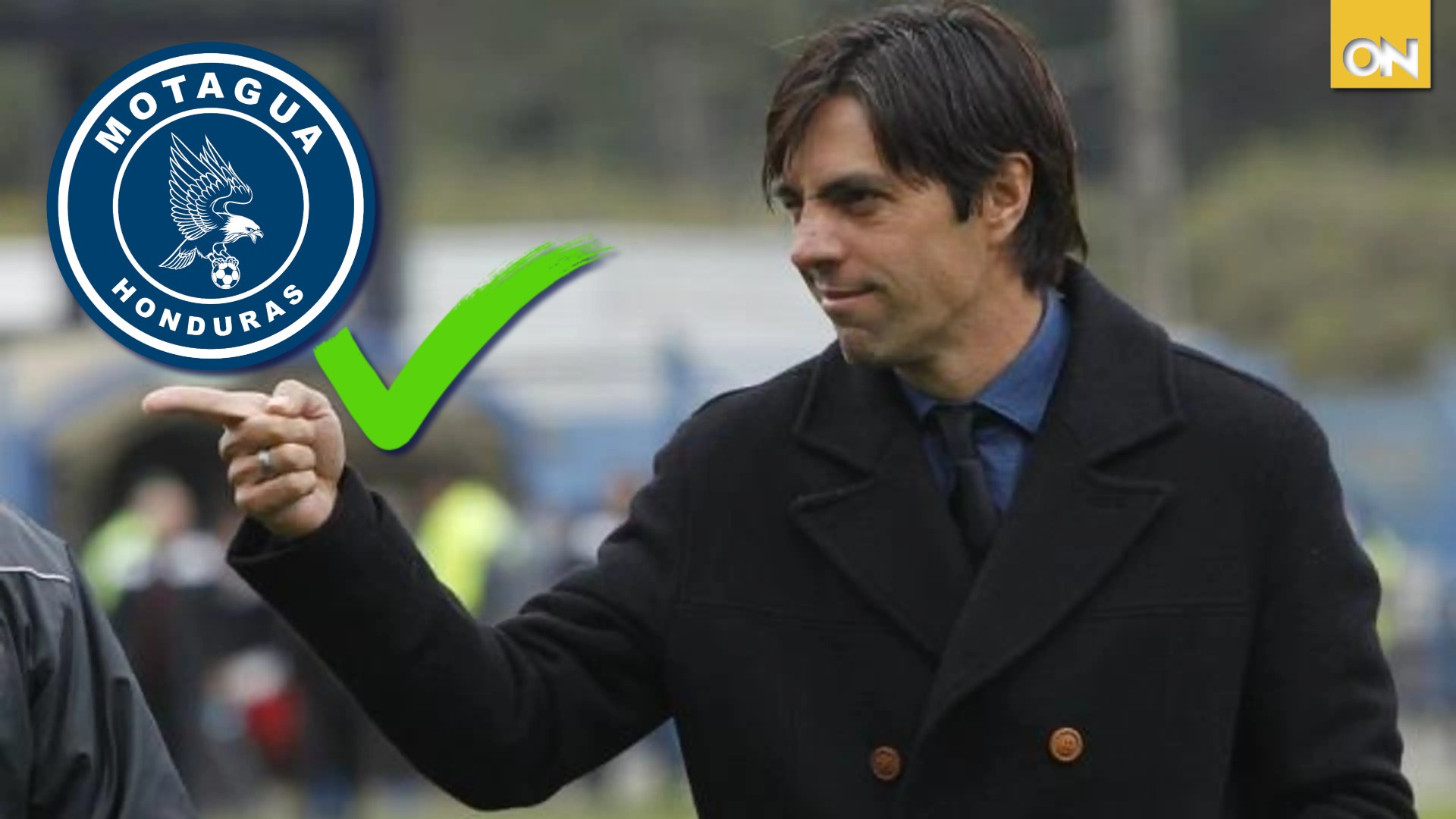 cesar vigevani