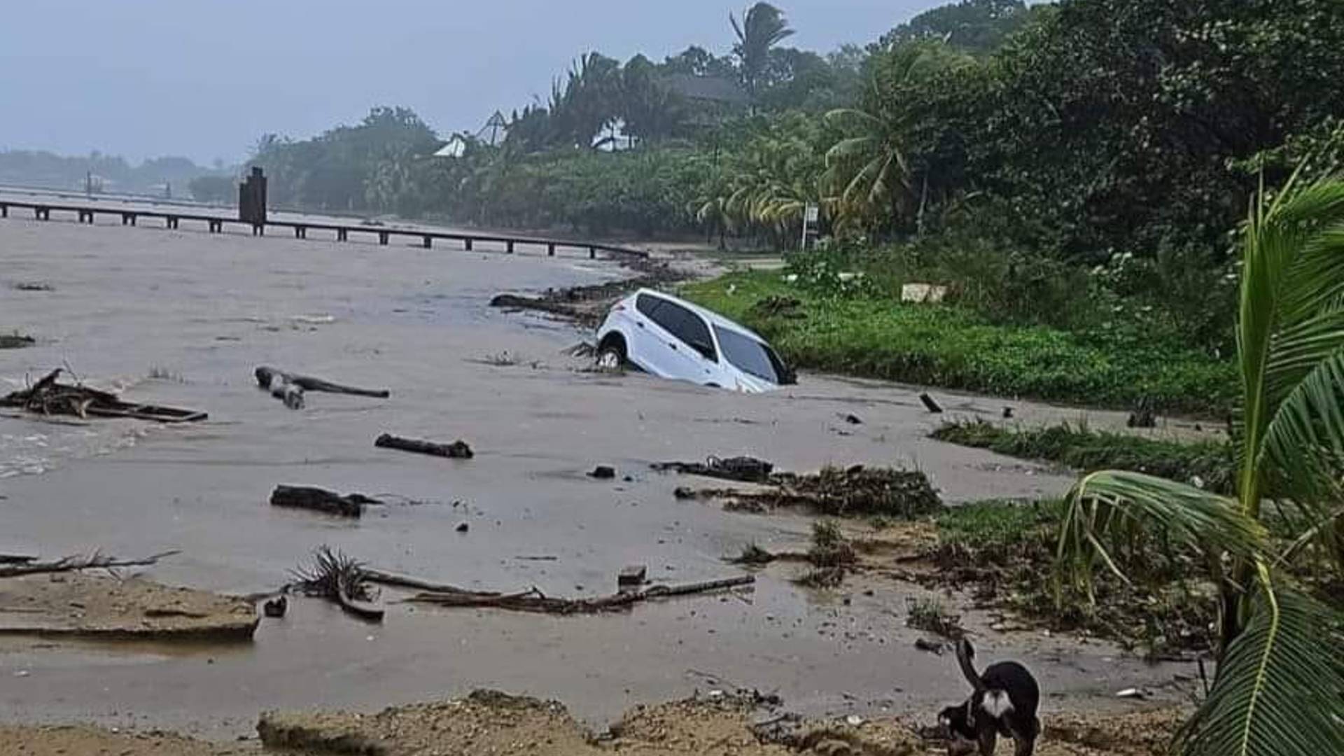 Lluvias