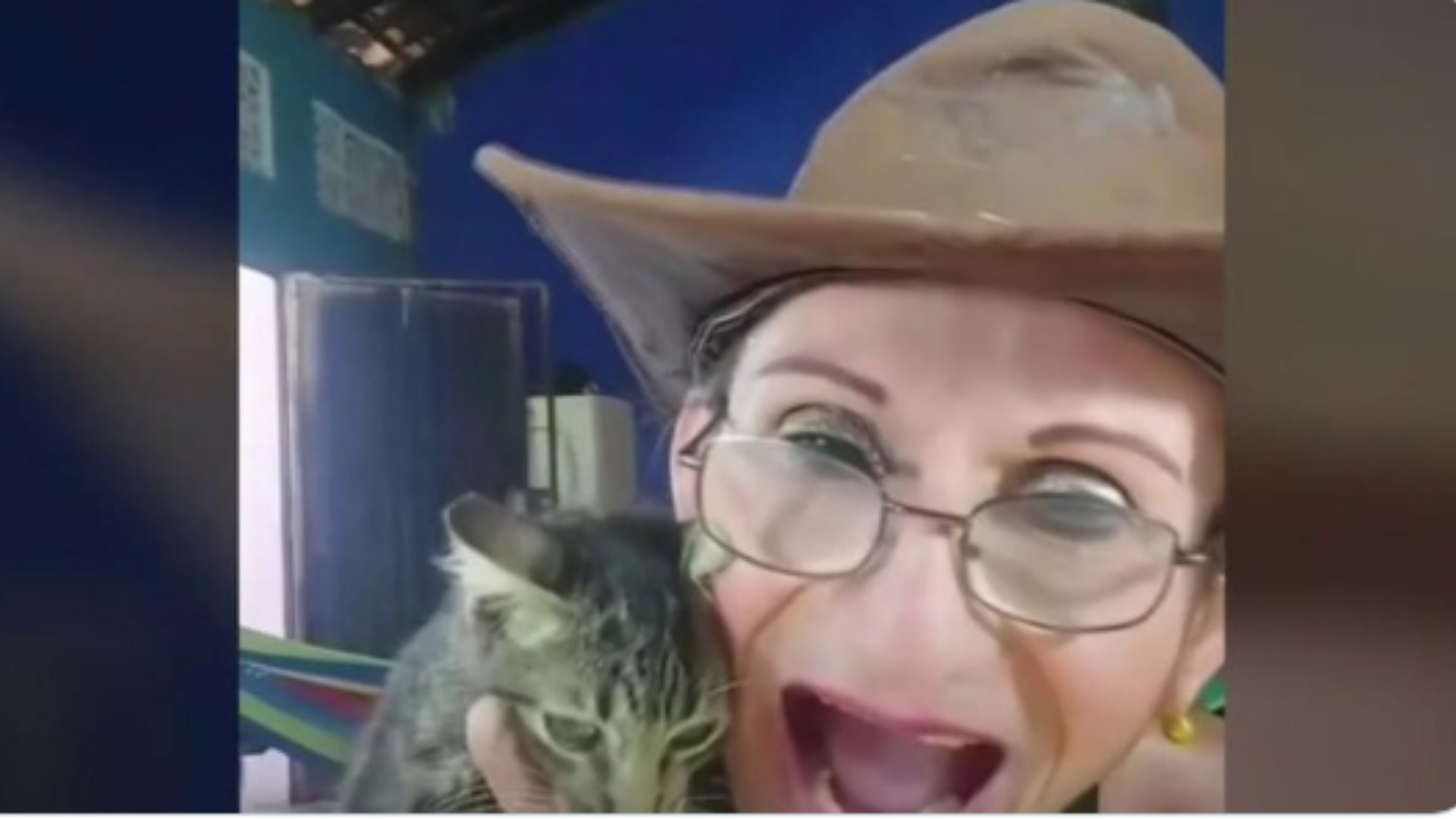 maltrato animal