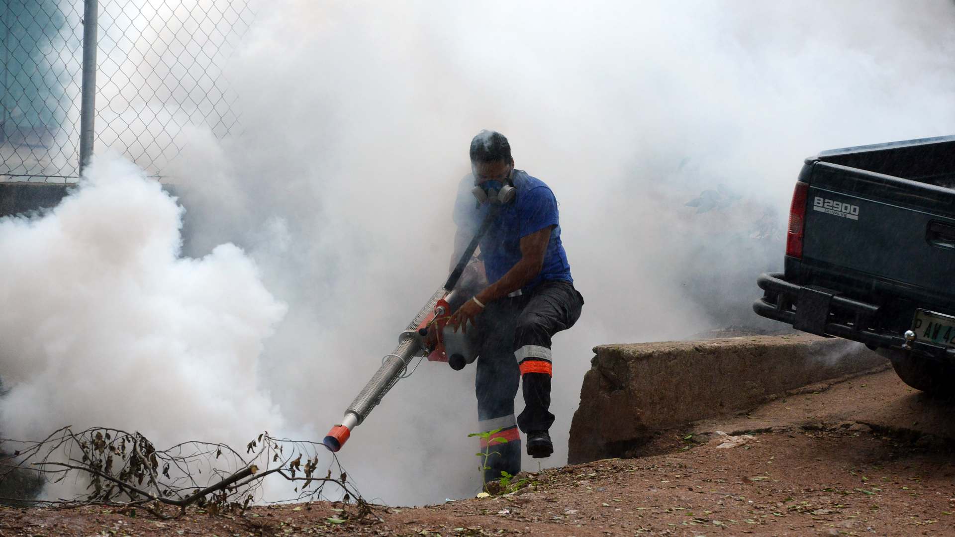 dengue