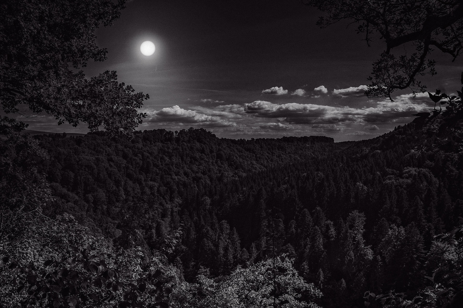 noche