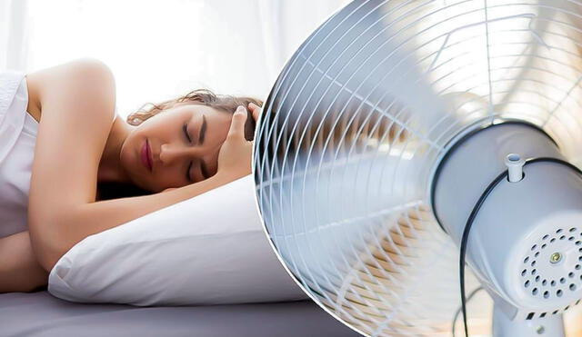 ventilador