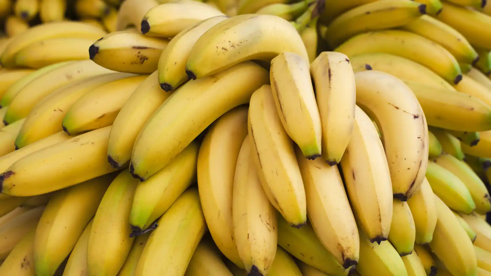 plátano