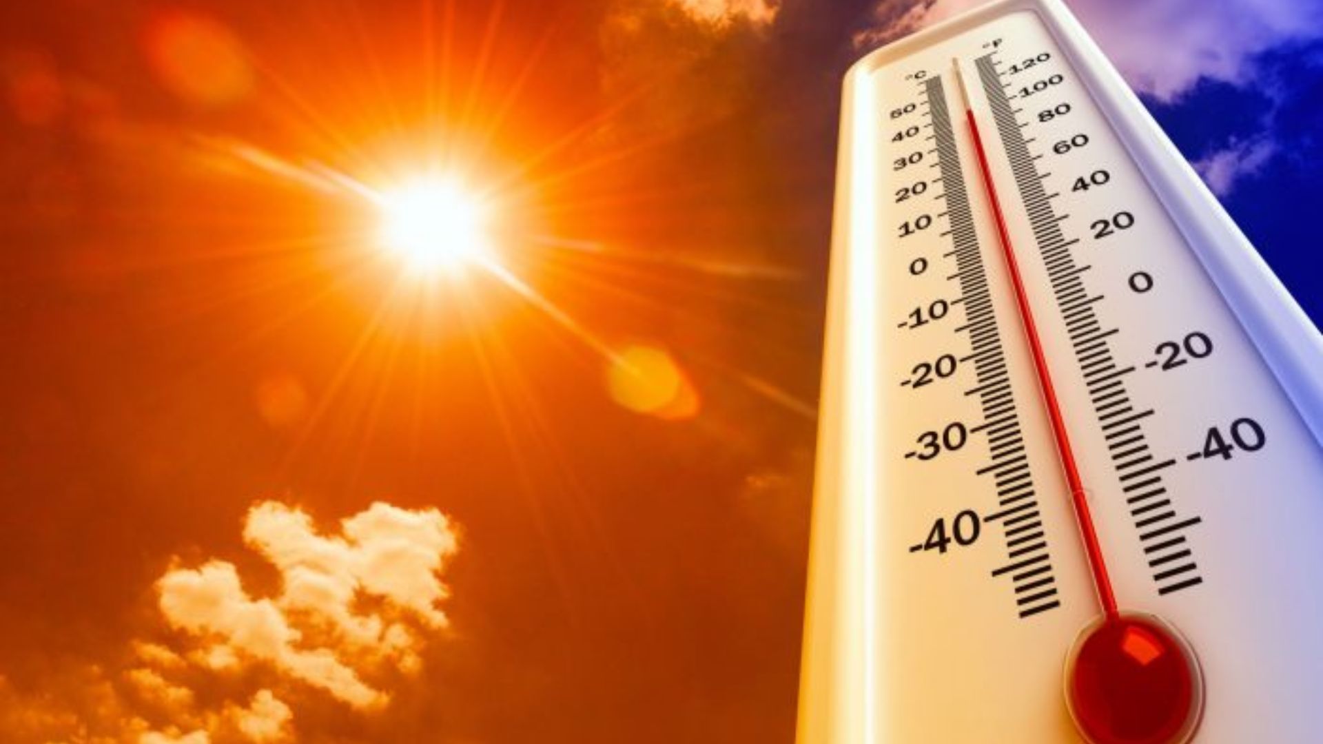 Ola de calor extremo: Temperaturas de hasta 43 grados por "El Niño" y los incendios forestales