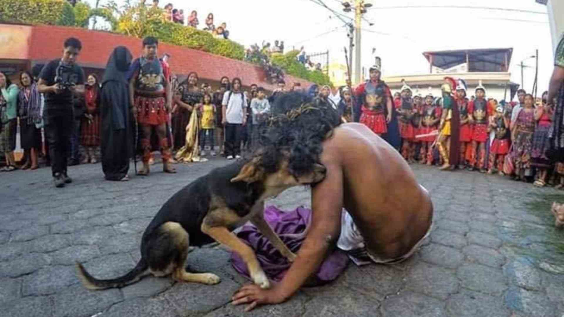 Perrito interrumpe viacrusis para consolar a 'Jesús'