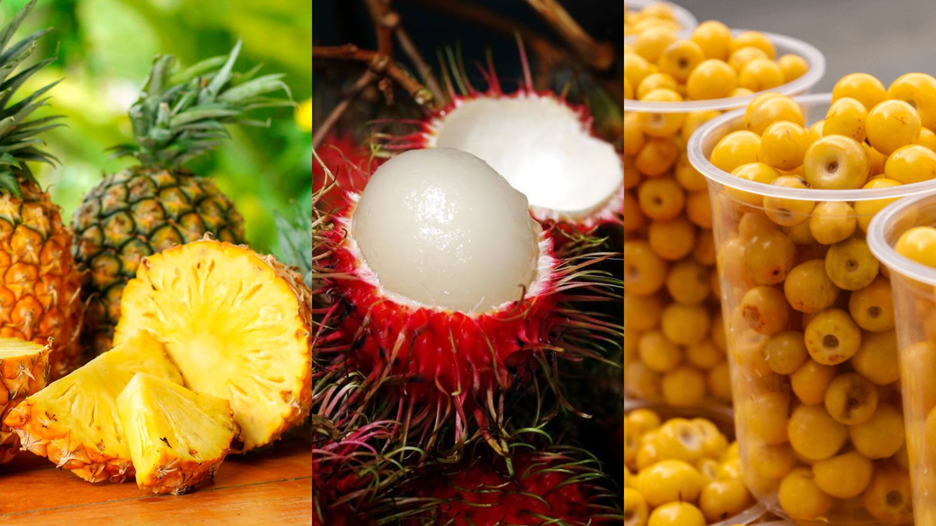 Frutas de verano: Once aliadas para mantenerte fresco y saludable bajo el sol