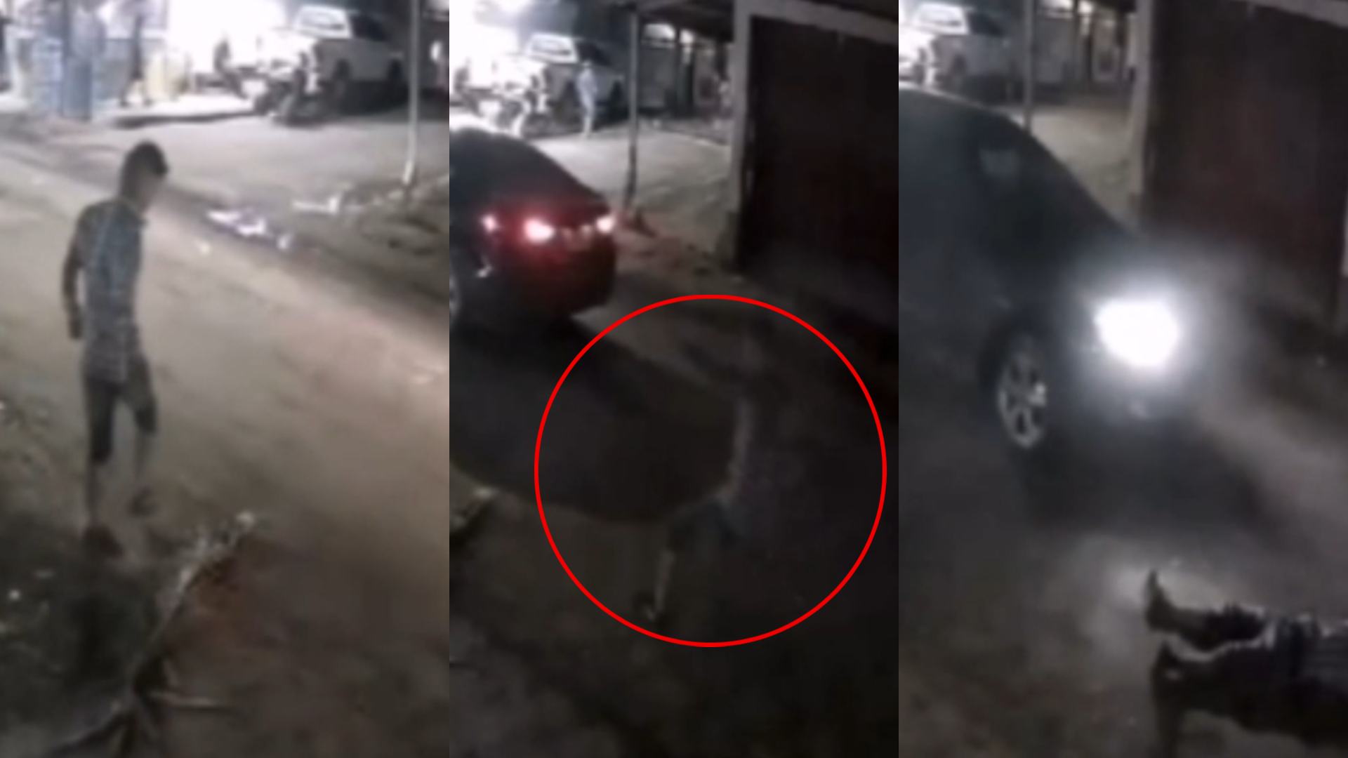 Hombre sale “bien bolo” a la calle y lo termina aplastando vehículo en SPS