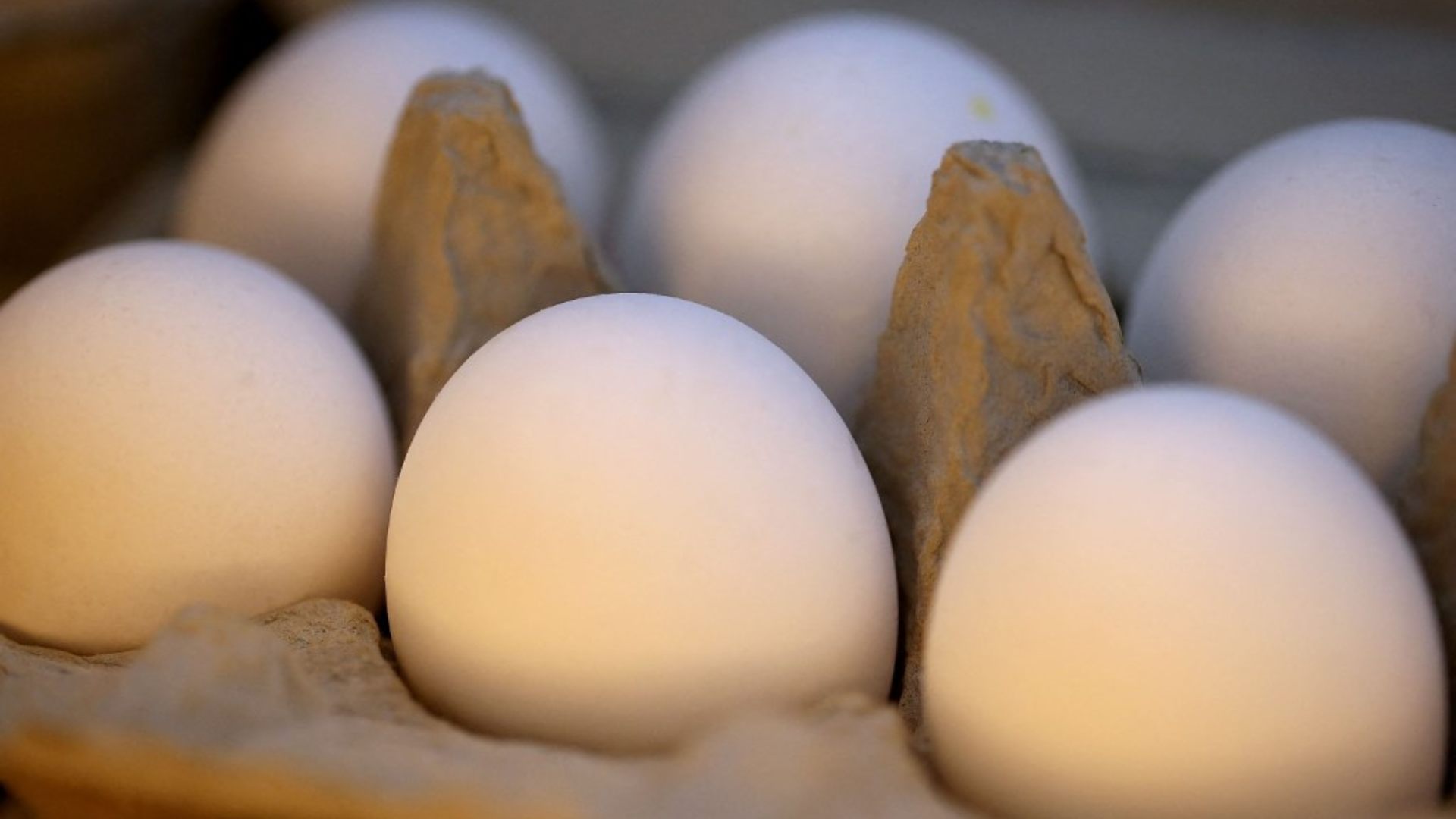 Huevos bajan hasta 10 lempiras en Semana Santa