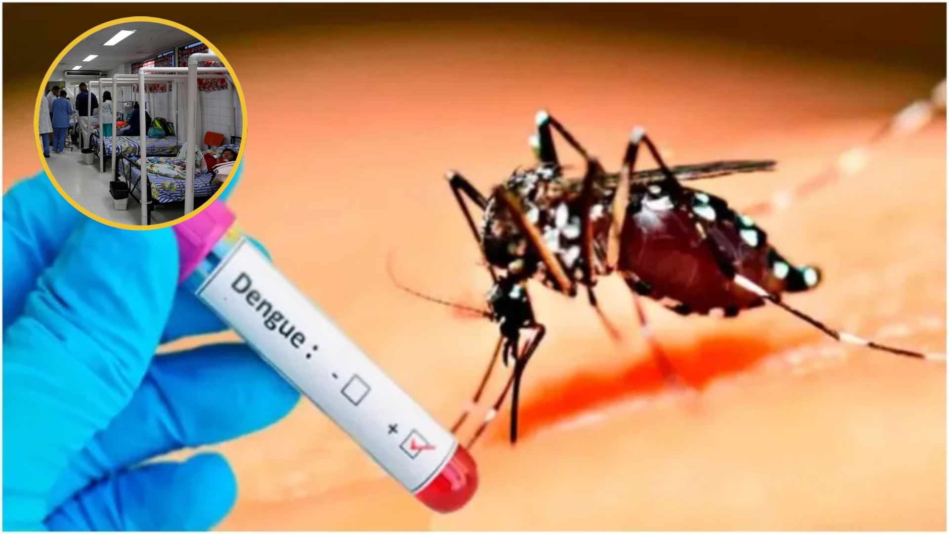 Alerta 🚨 OPS advierte "la peor temporada de dengue" en Honduras y otros países de América para 2024