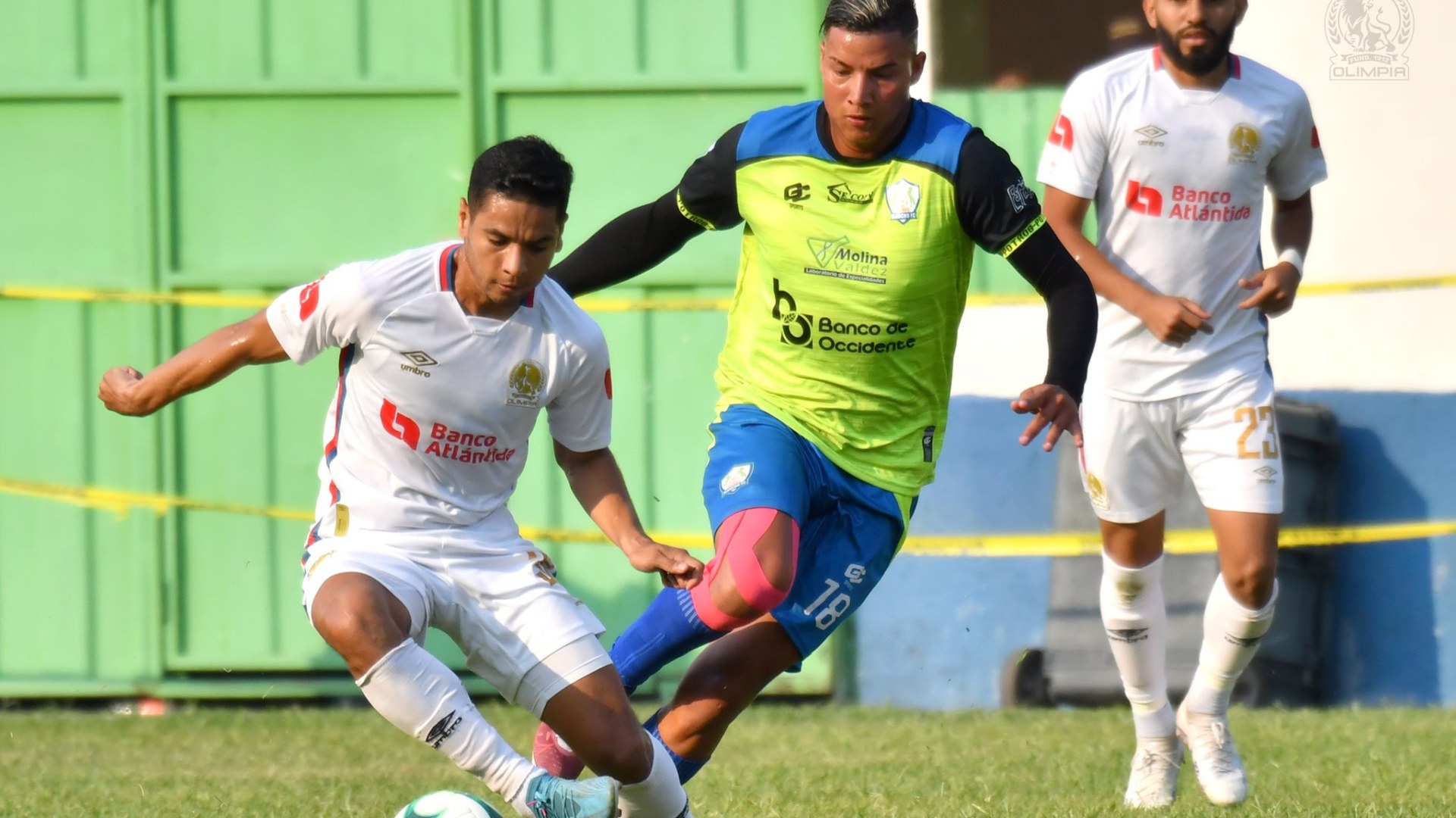 El Olimpia se enfrentaran a los Potros en esta jornada15 del torneo de Clausura 2024 de la Liga Nacional, los leones con cinco bajas en el partido con posibilidades de perder el invicto.