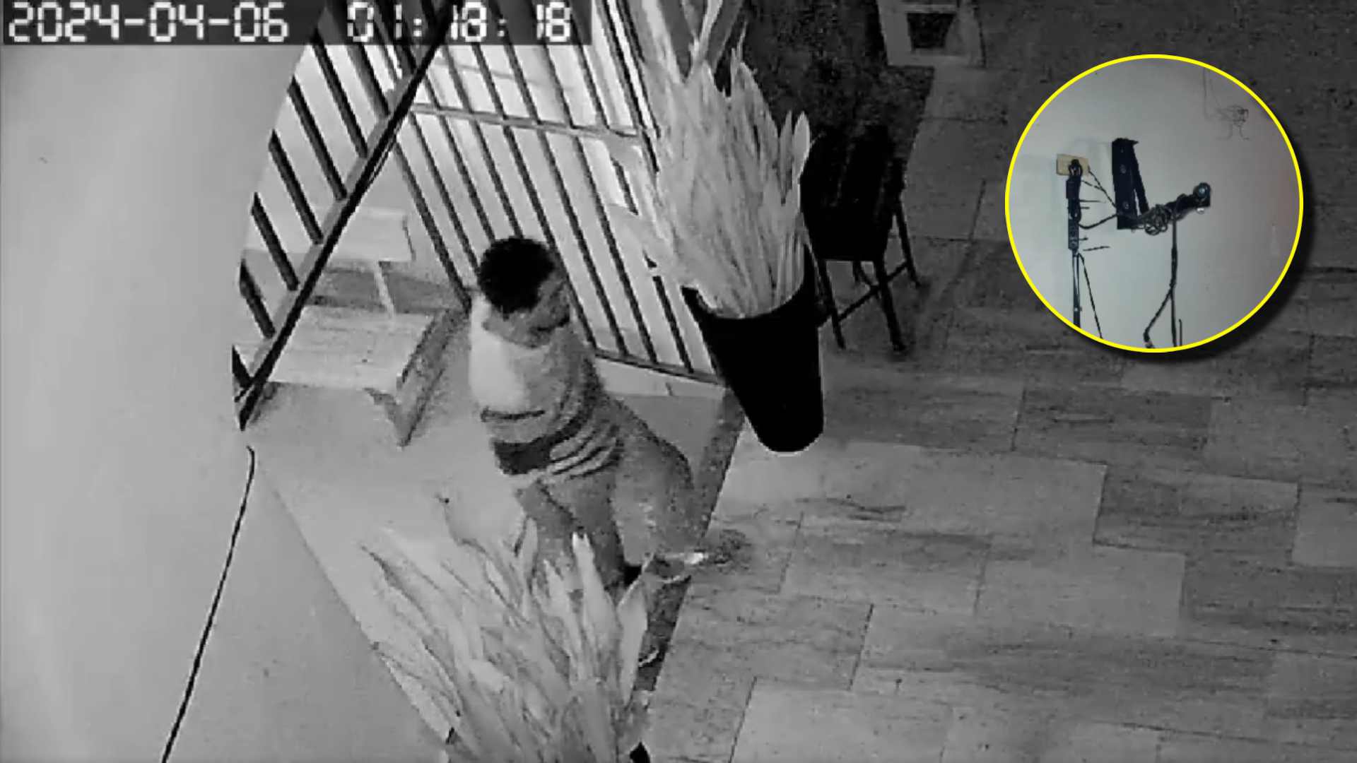 Robo en iglesia de Olacho