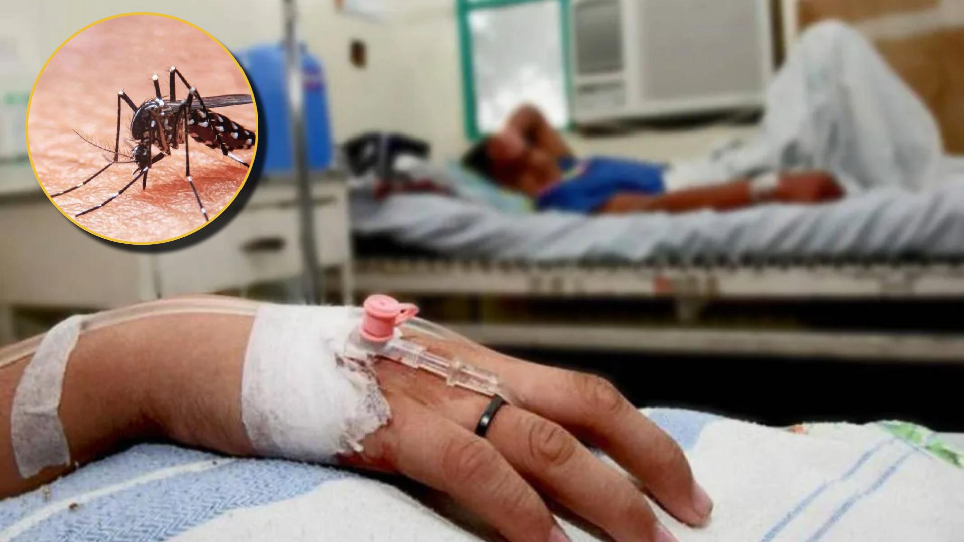 Alerta en Sps Aumentan los casos de dengue y problemas respiratorios en el IHSS