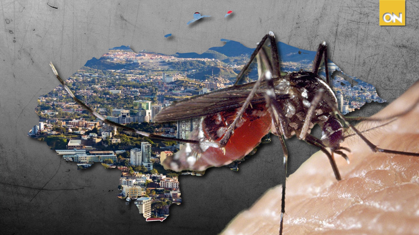 Honduras en ‘Emergencia Nacional’ por dengue