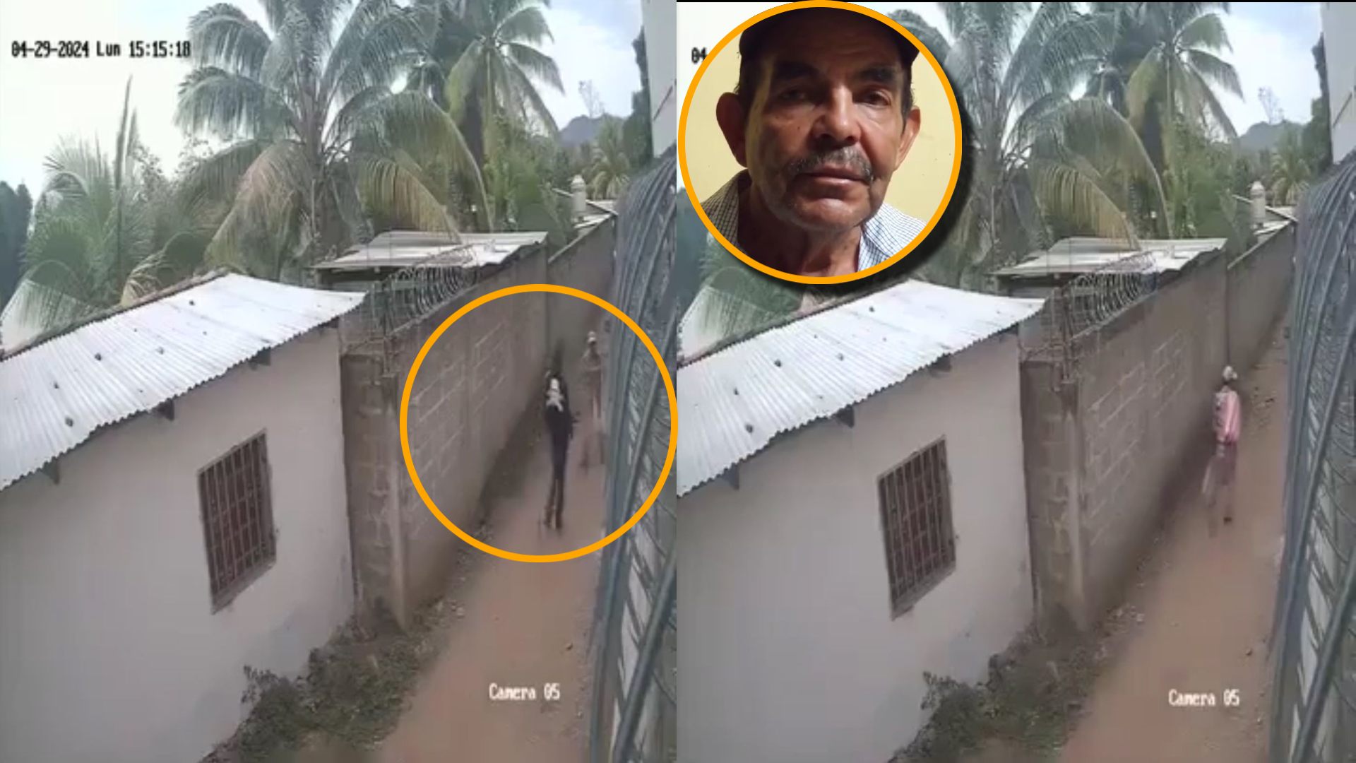 Delincuente agrede y asalta a anciano que vende condimentos en Danlí