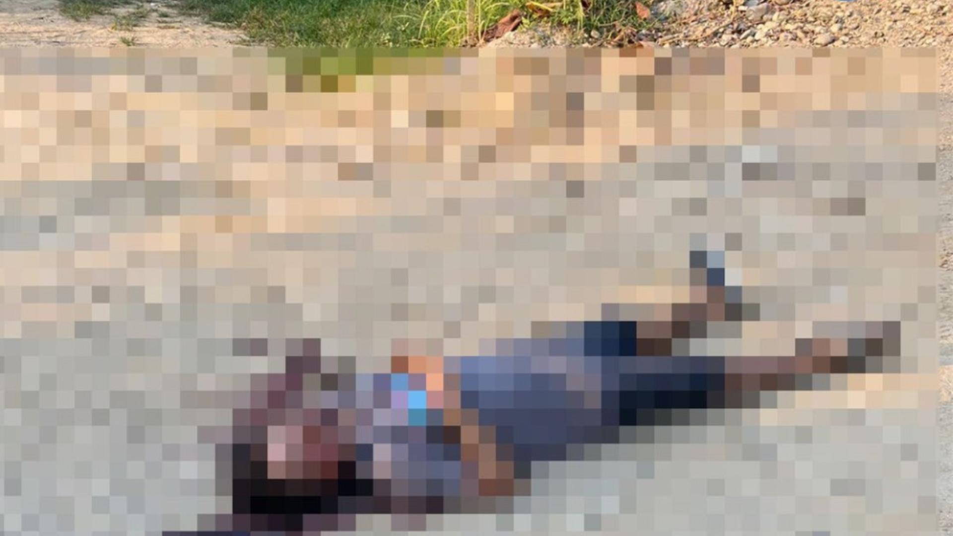 Masacre en Omoa deja tres muertos