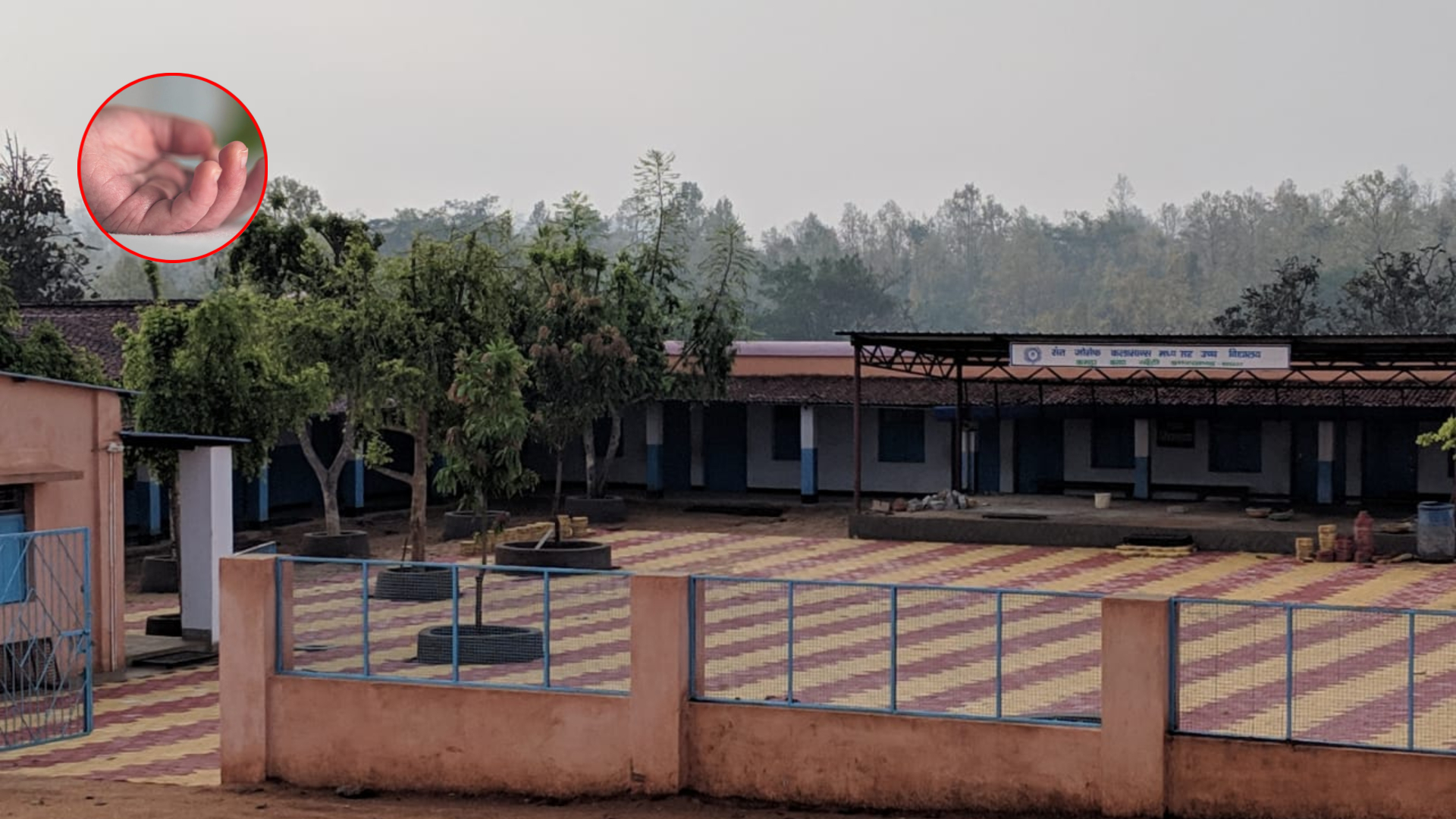 colegio