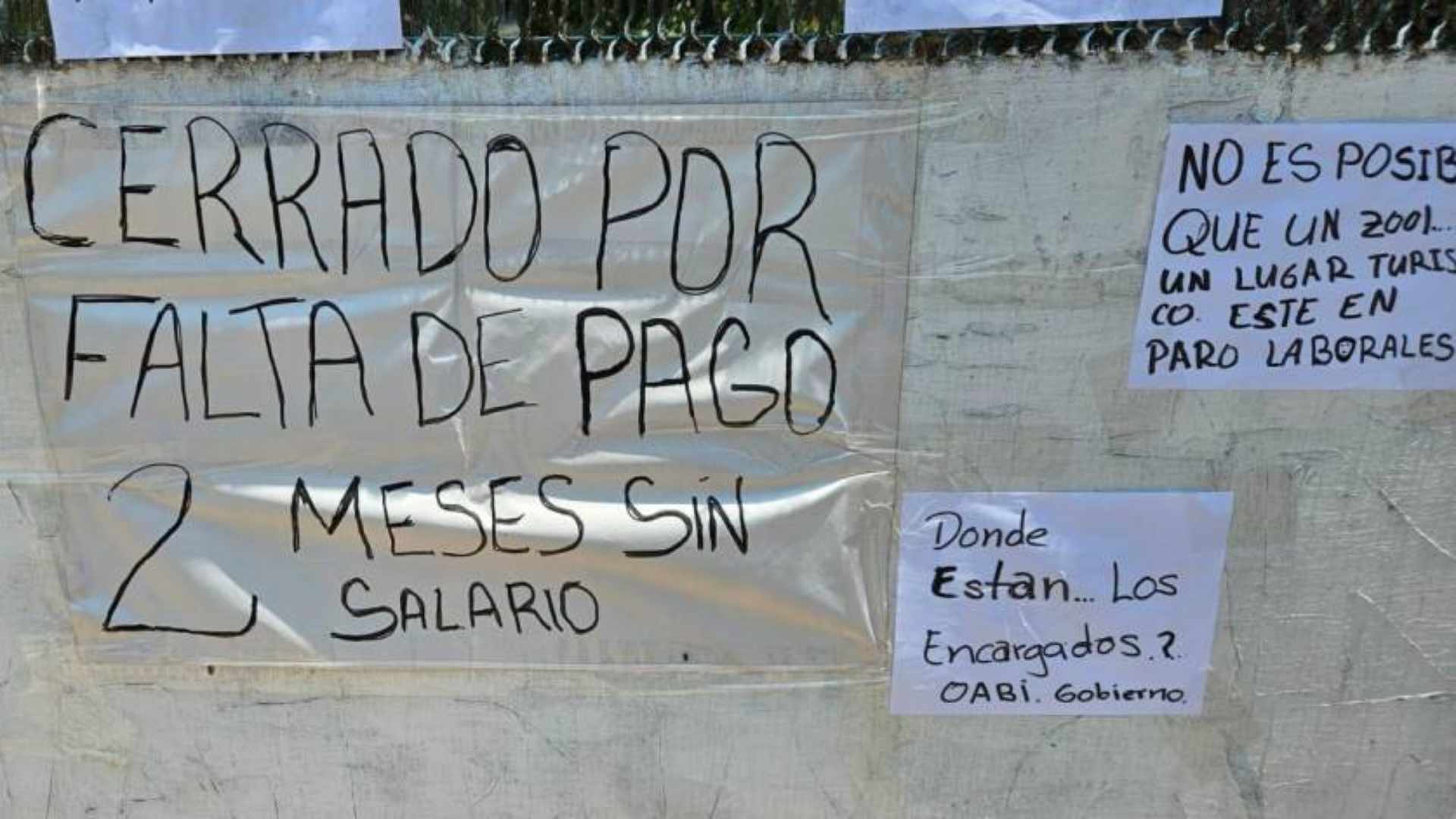 Joya Grande