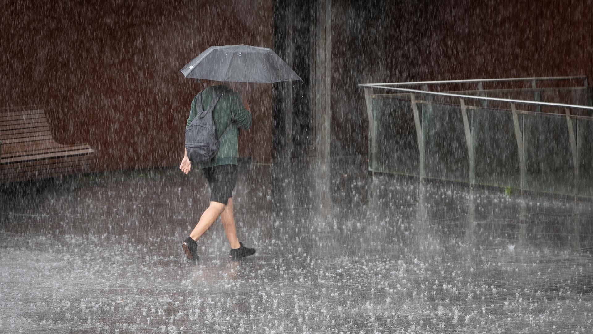 Esto son los riesgos de la lluvia ácida que se presenta después de contaminación