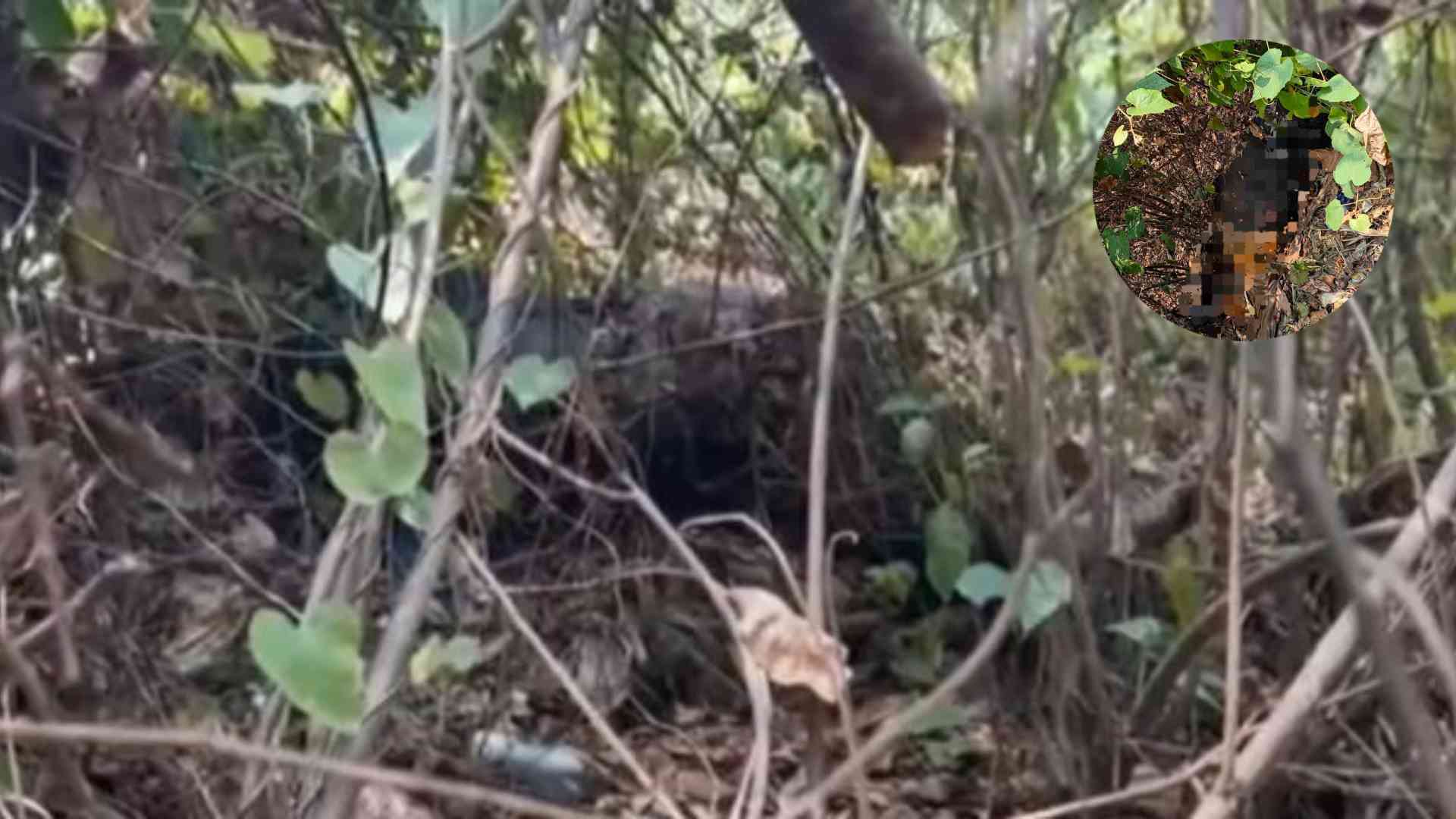 raptado rescate Choloma
