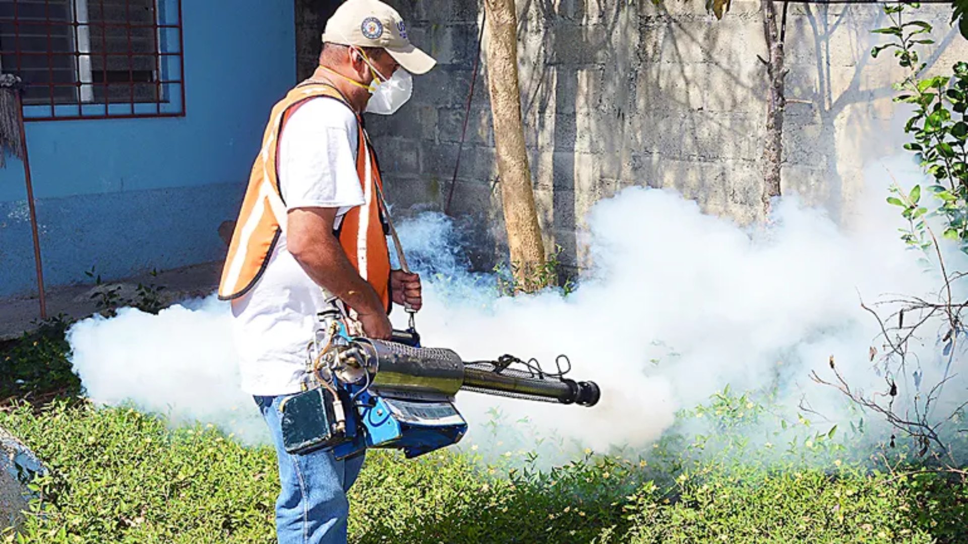 dengue