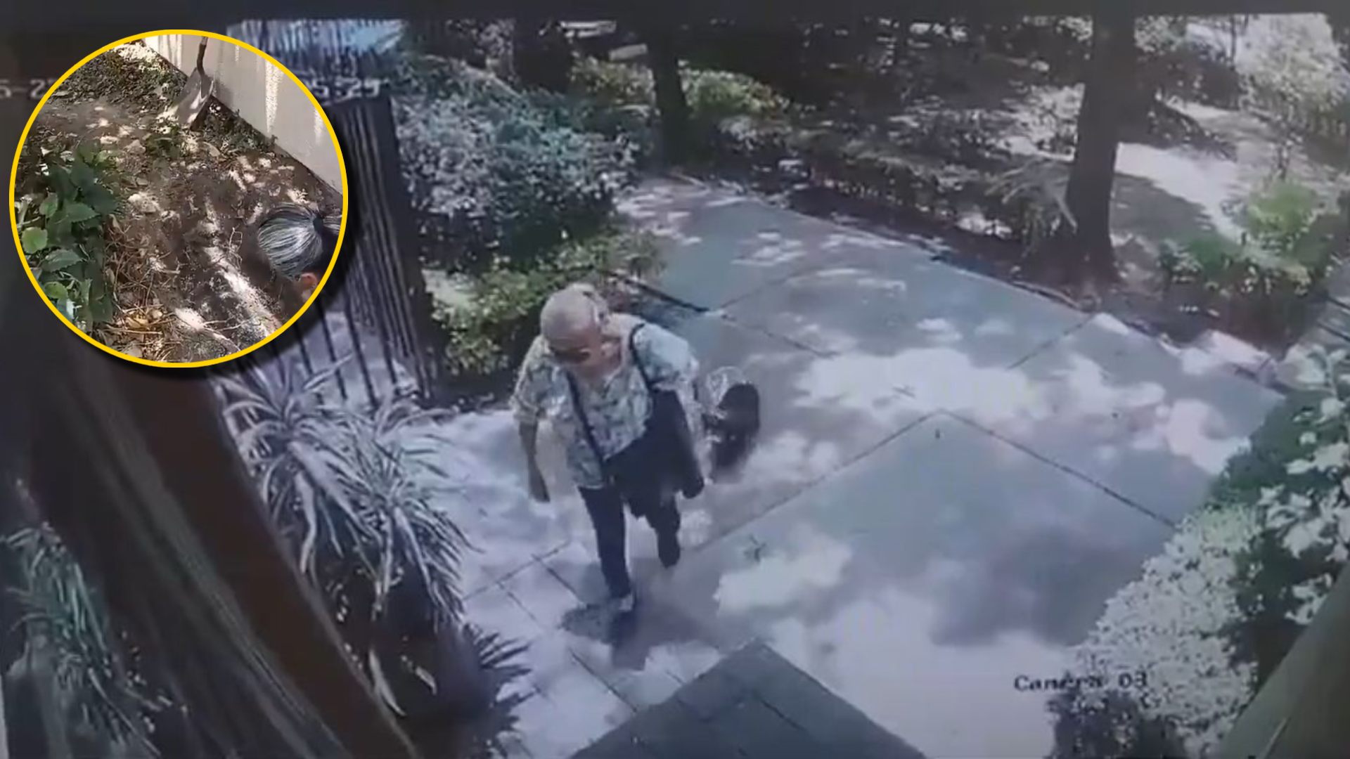 Señora con una mascota