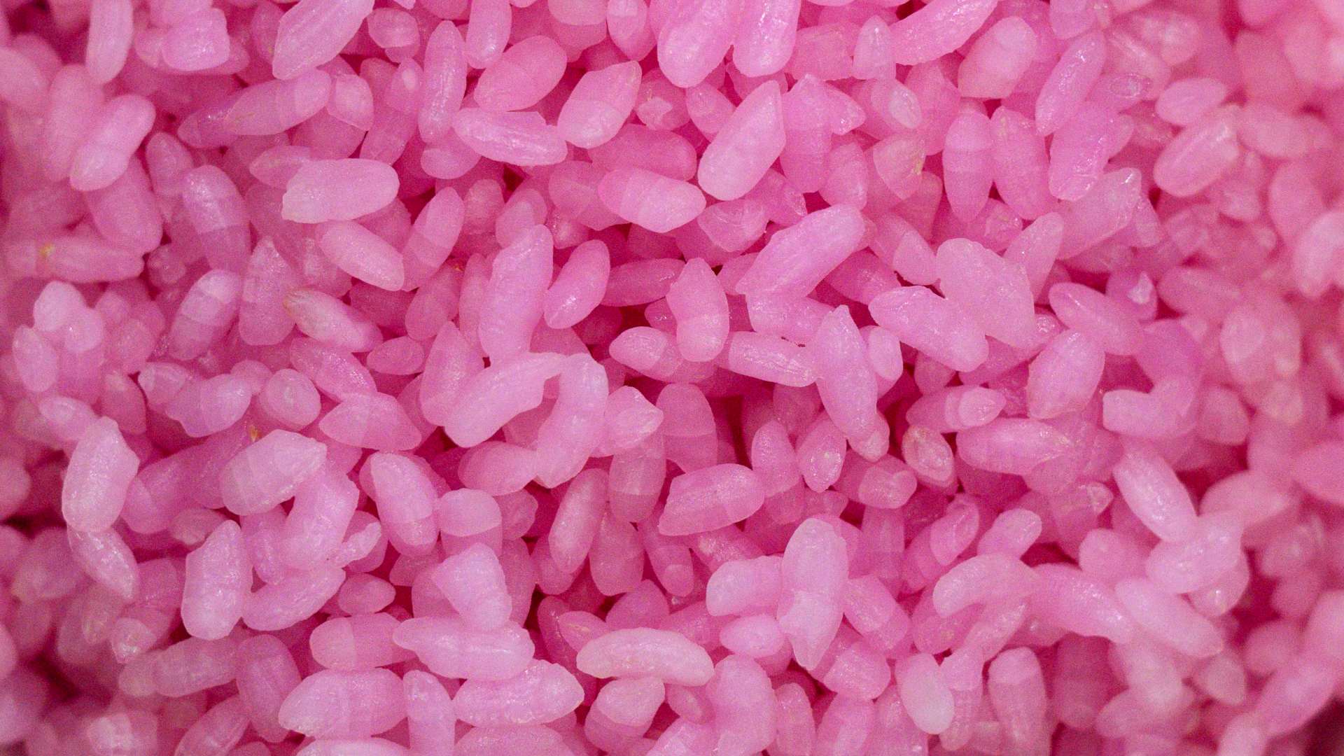 científicos arroz carnoso