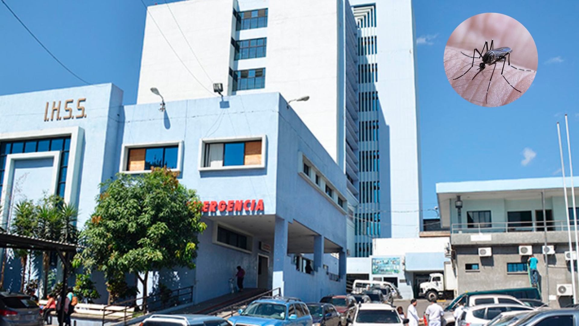 El sistema de salud en Honduras se enfrenta a una grave crisis debido al aumento repentino de casos de dengue grave, que ha llevado al colapso de las salas pediátricas en los hospitales del Seguro Social.